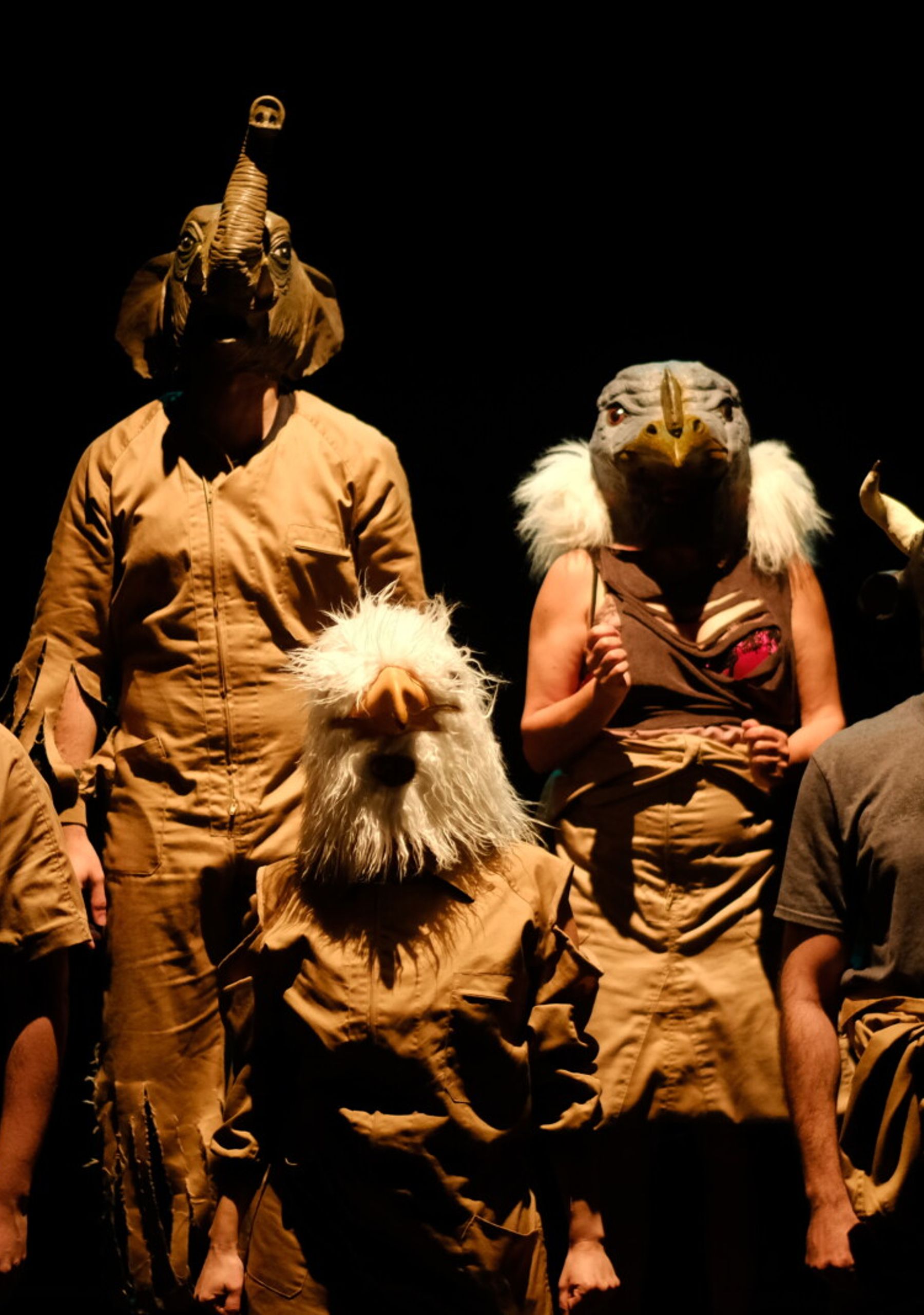 Animales Humanos