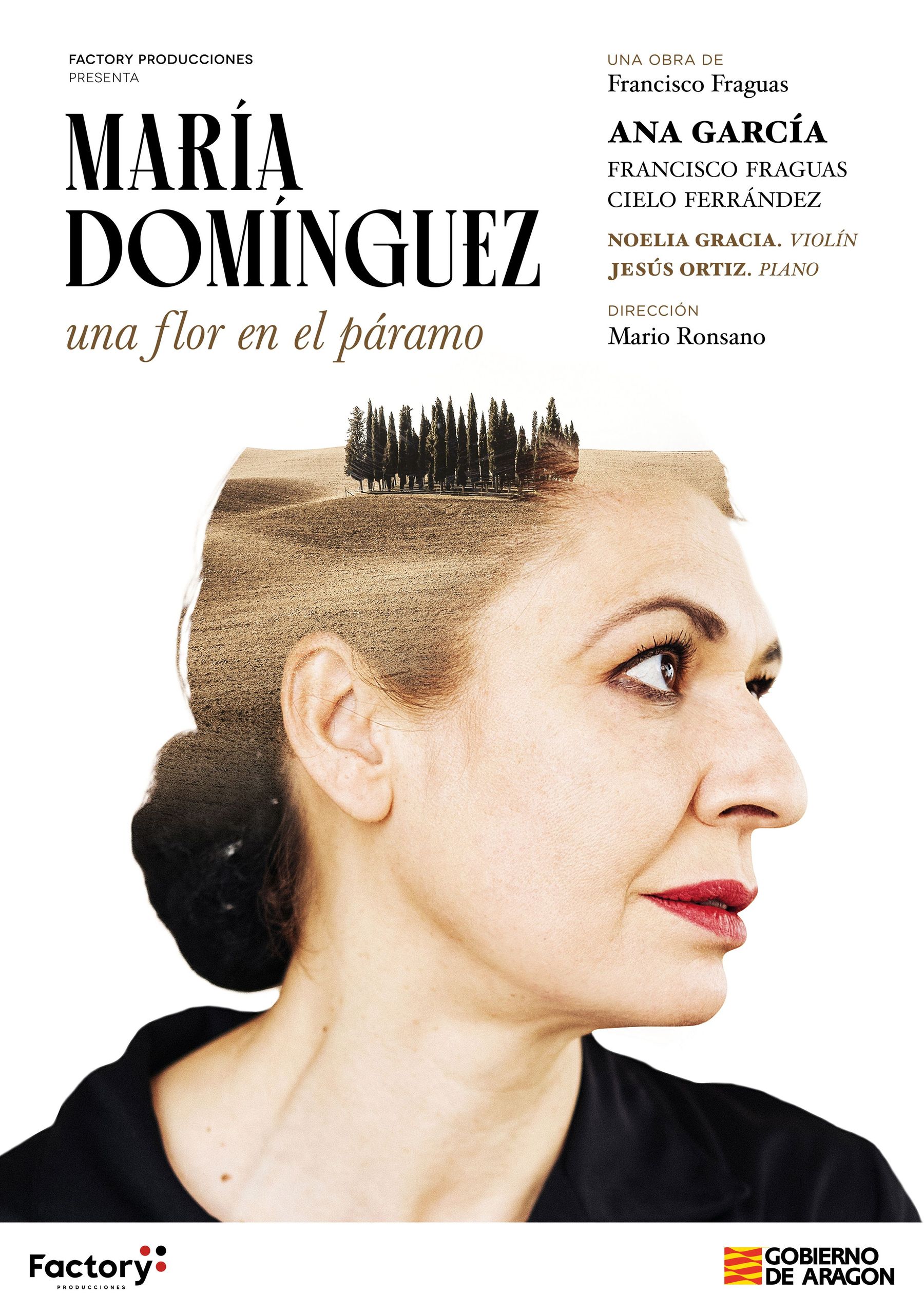 María Domínguez. Una flor en el páramo