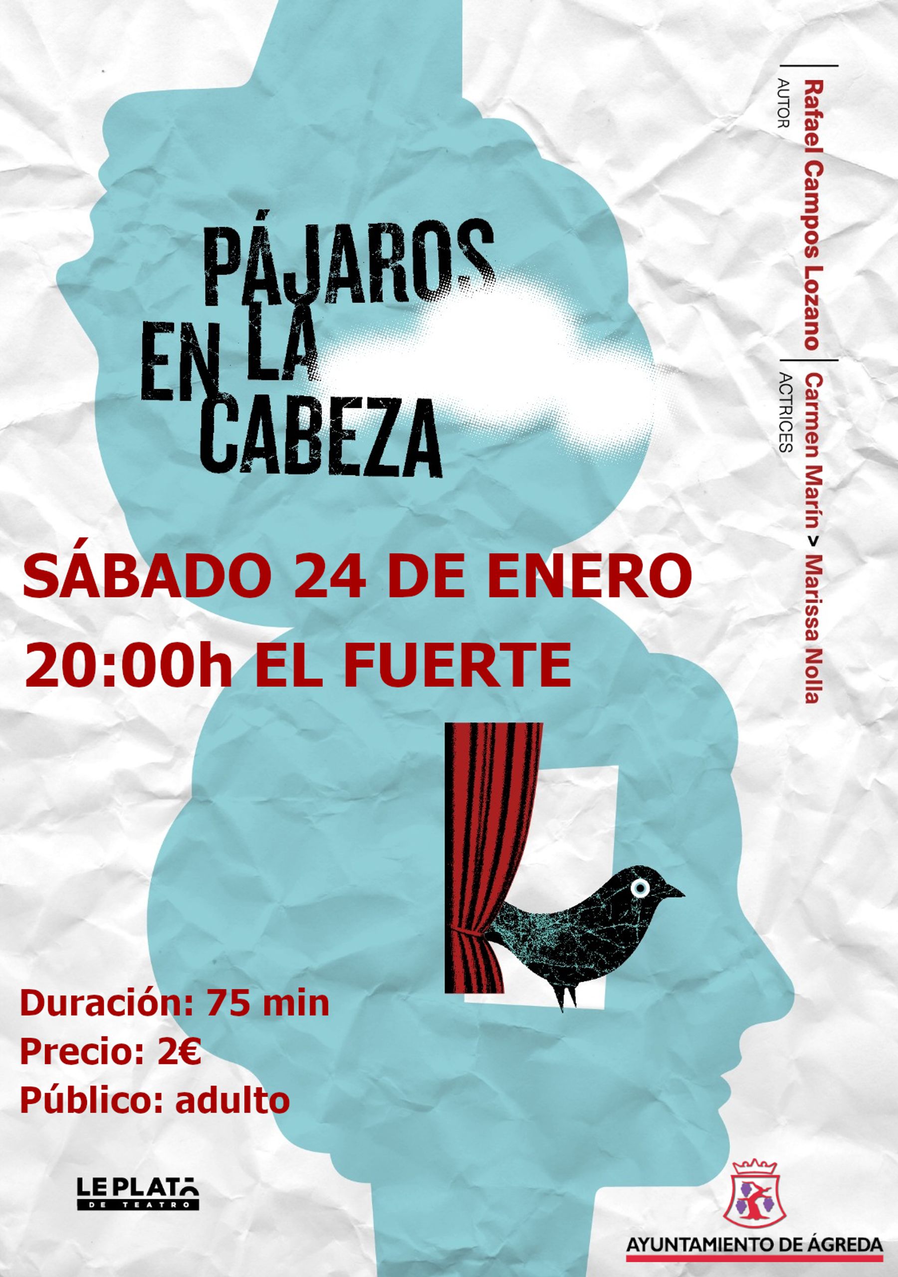 Pájaros en la cabeza