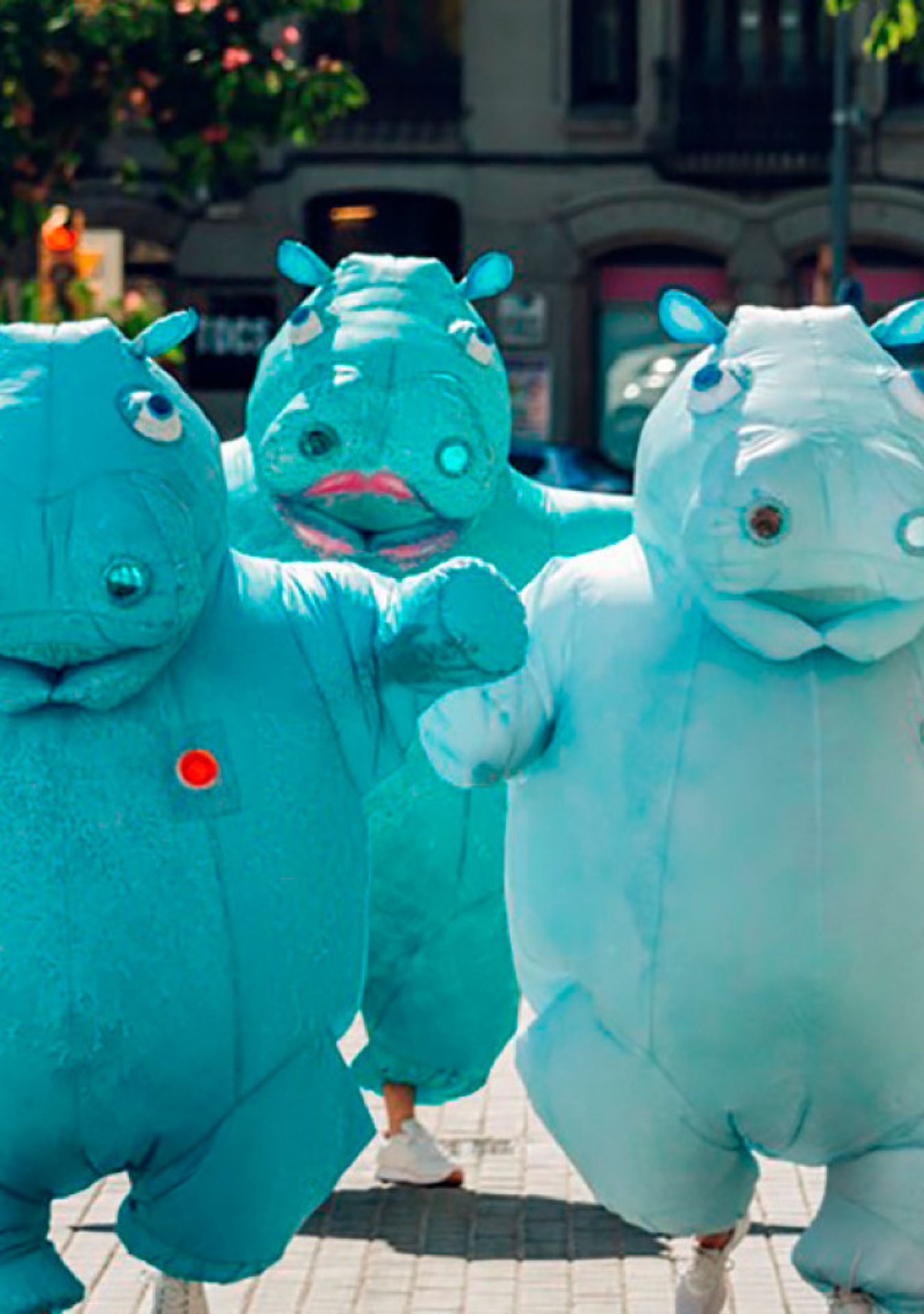 Hippos