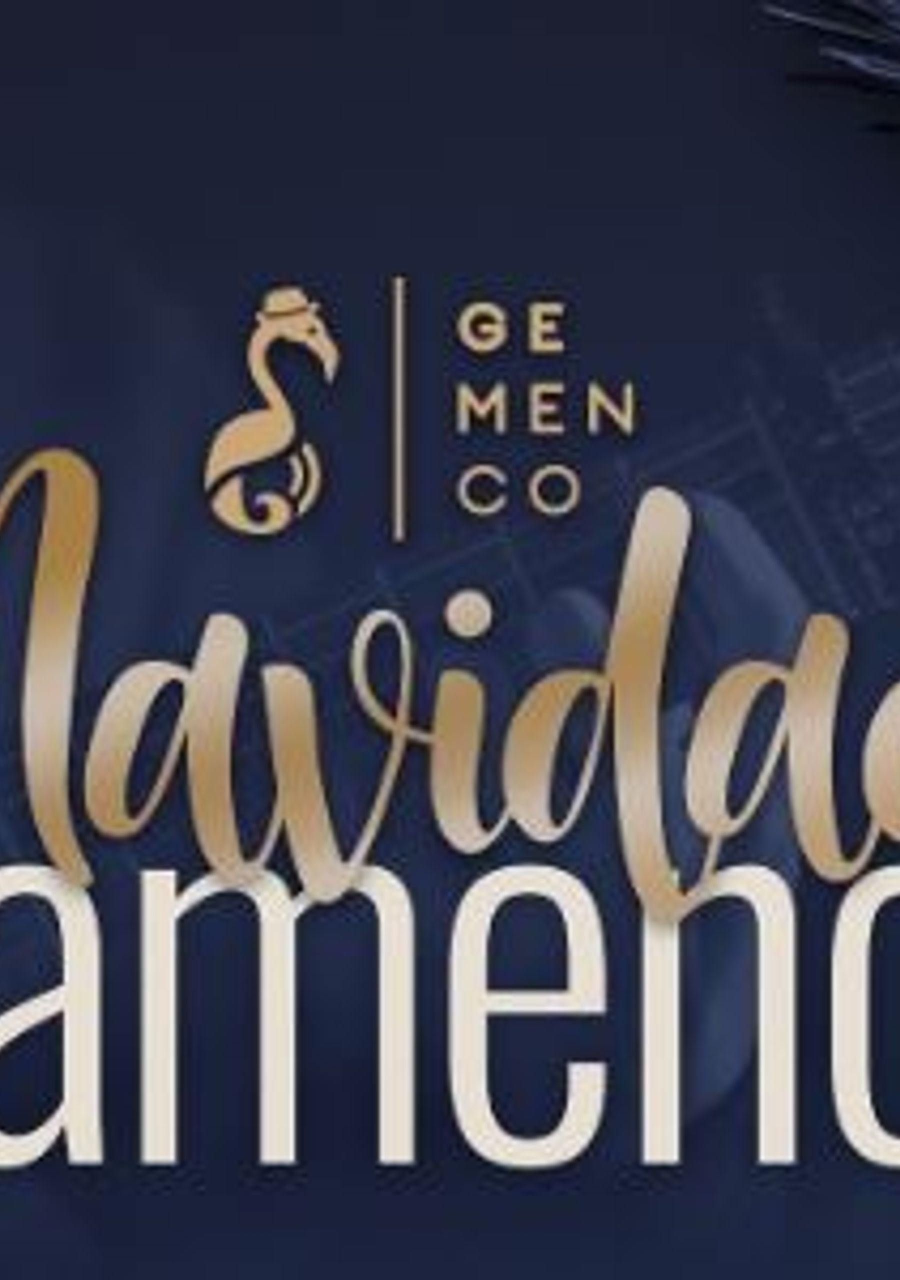 Navidad Flamenca 3.0