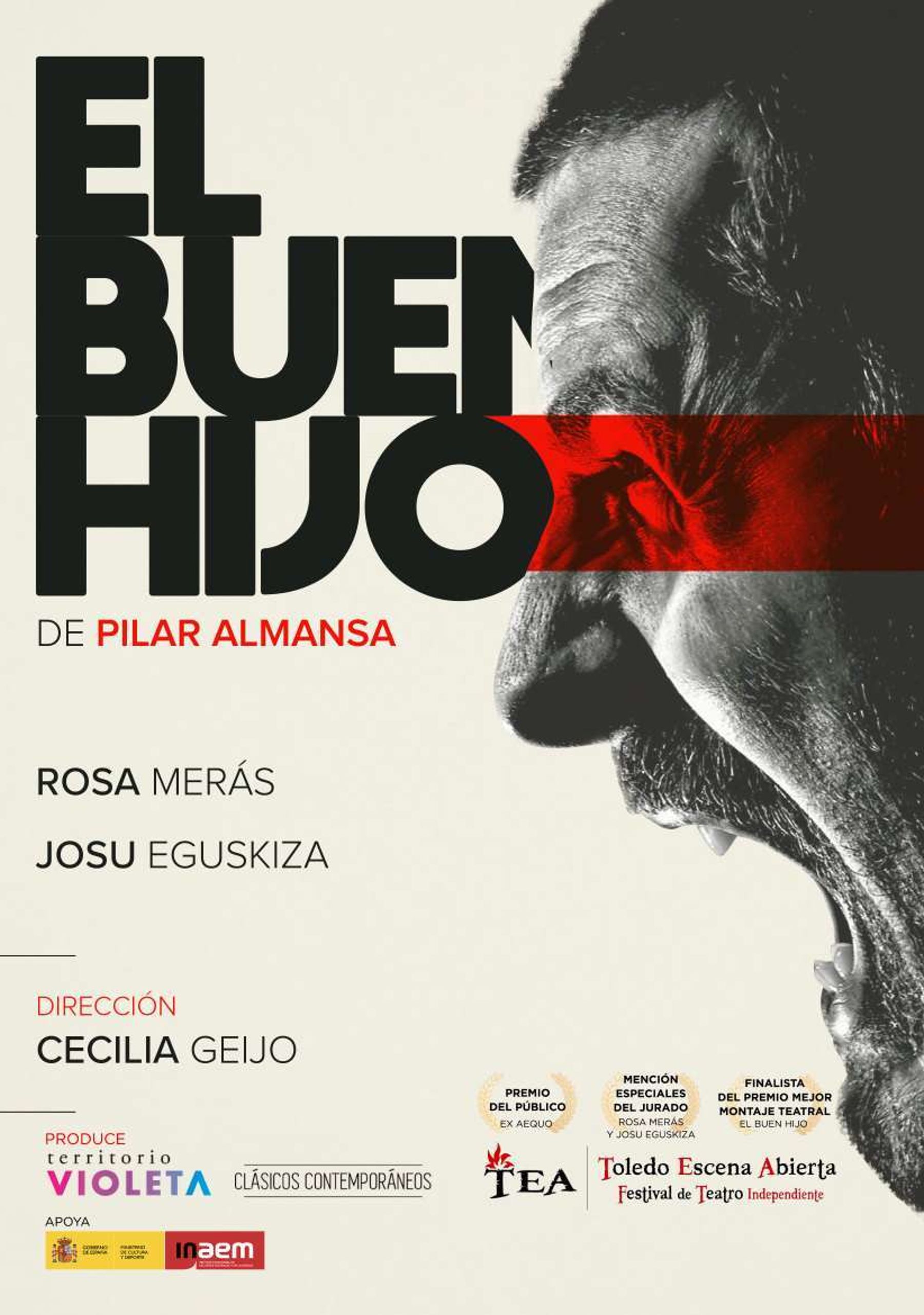 El buen hijo