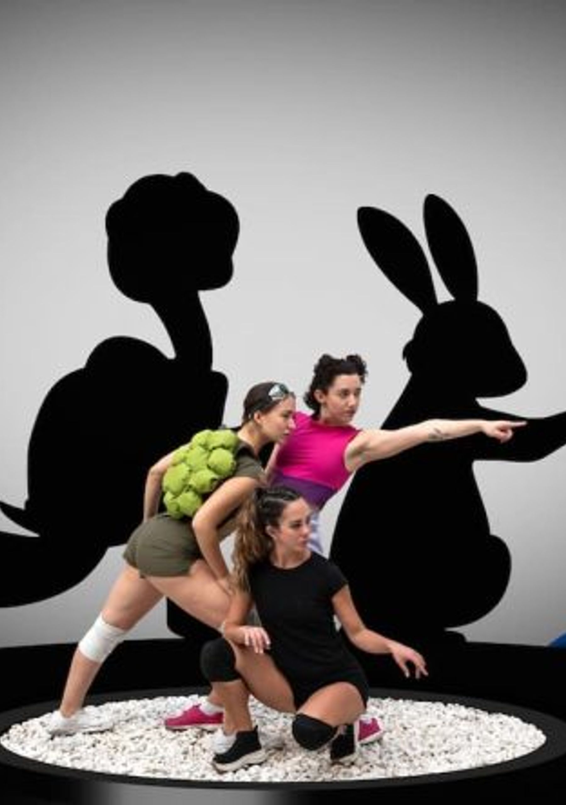 La liebre, la tortuga & la influencer