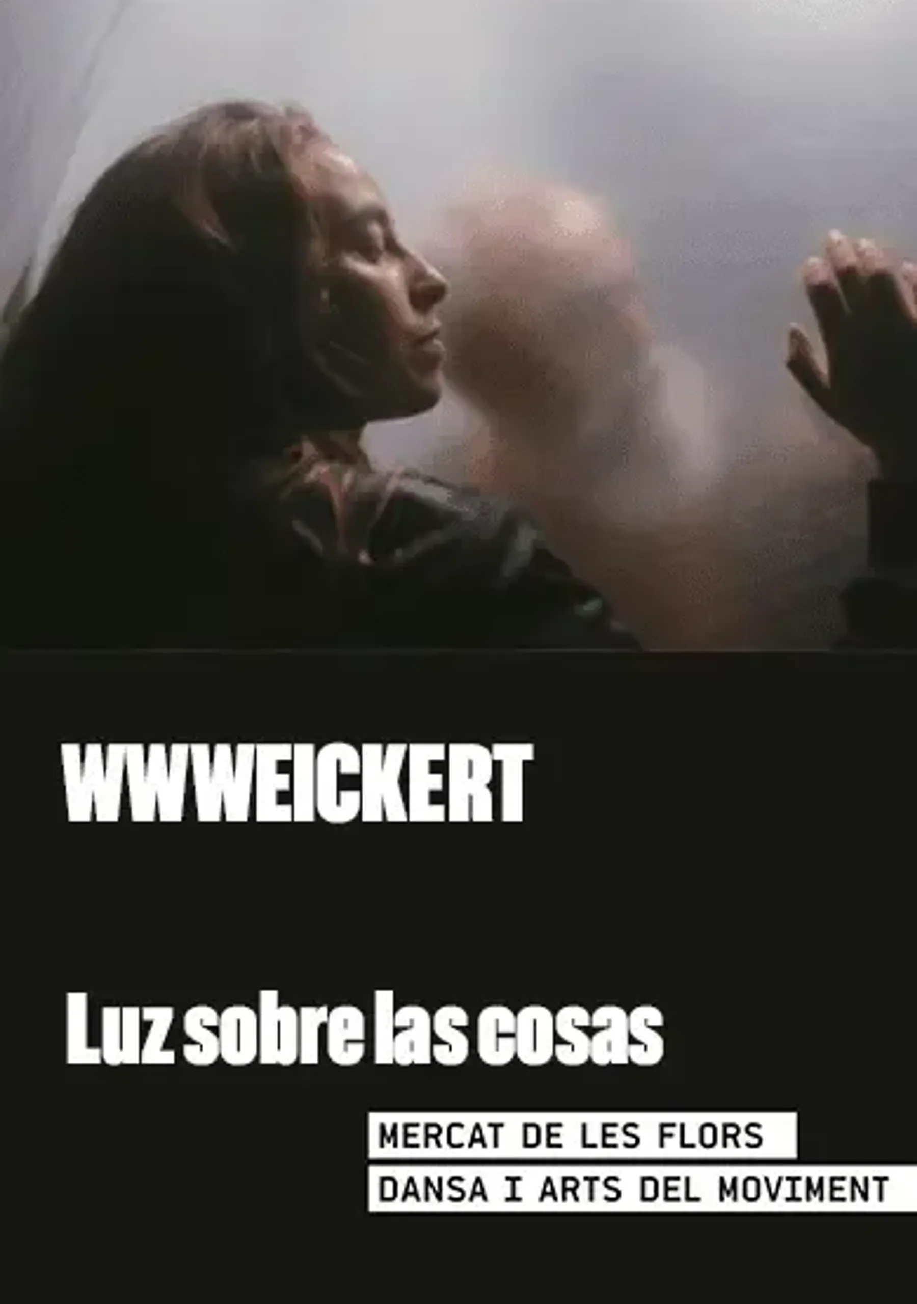 Luz Sobre las Cosas