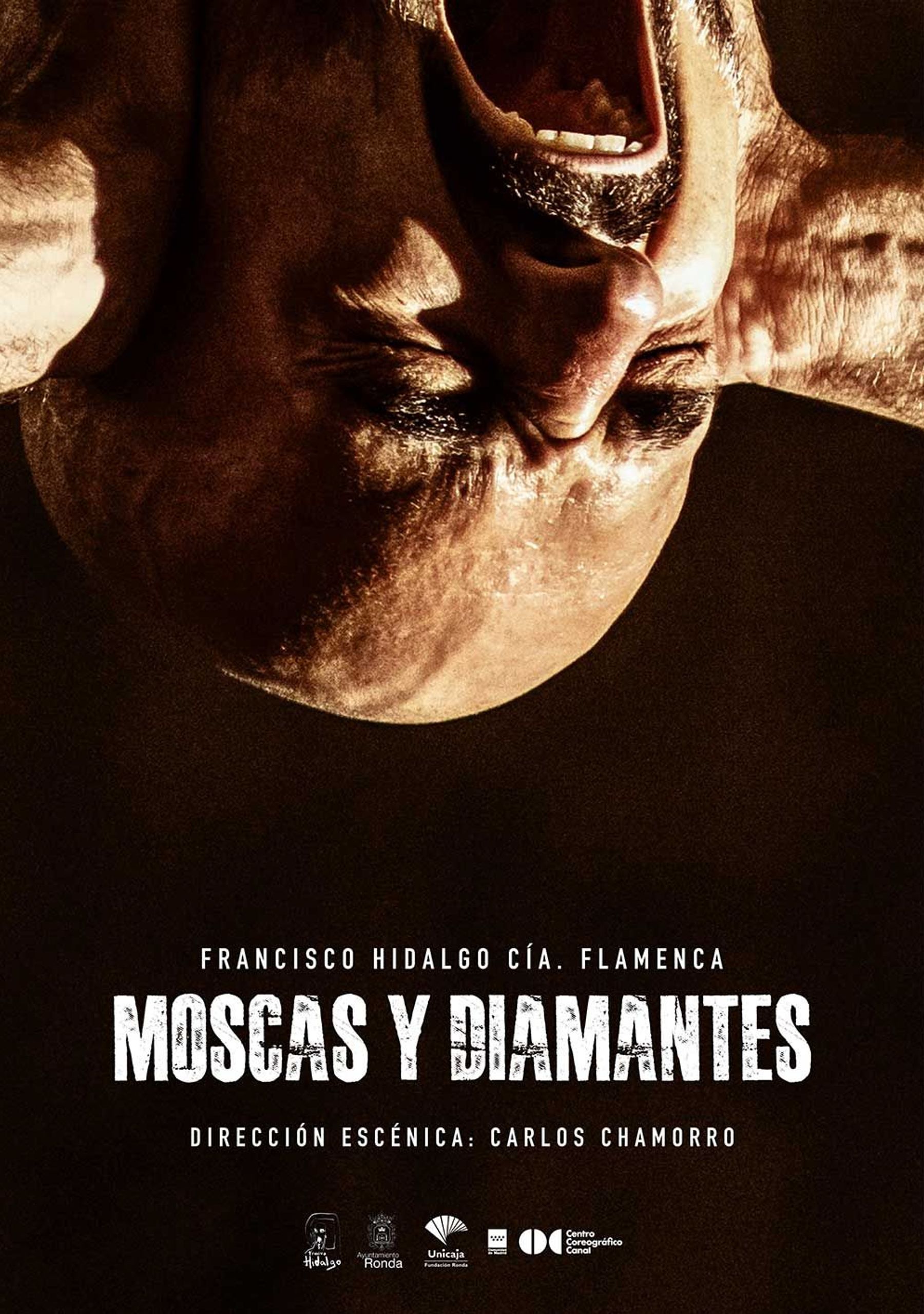 Moscas y Diamantes
