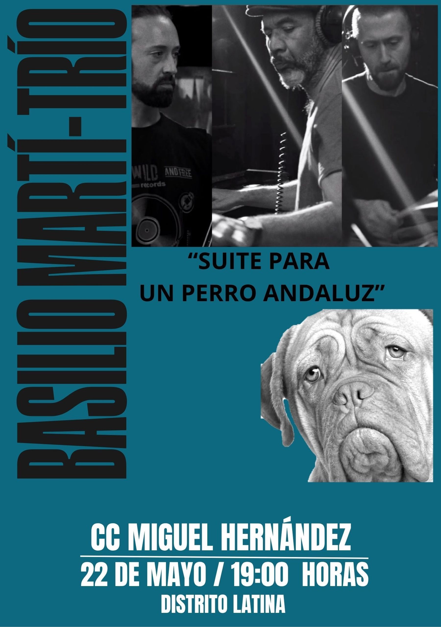 Concierto "Suite para un perro andaluz"