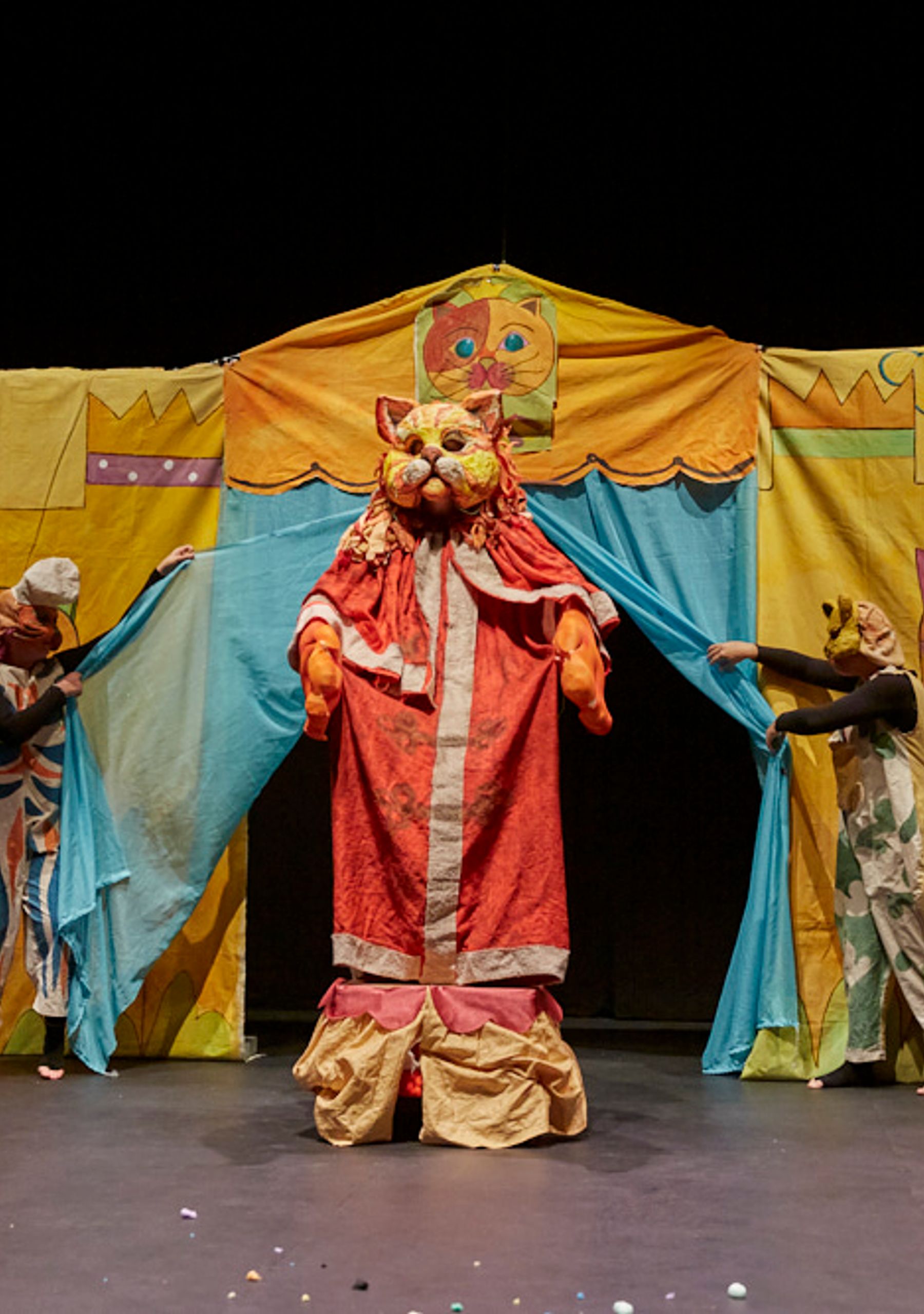 El Rey Gatón