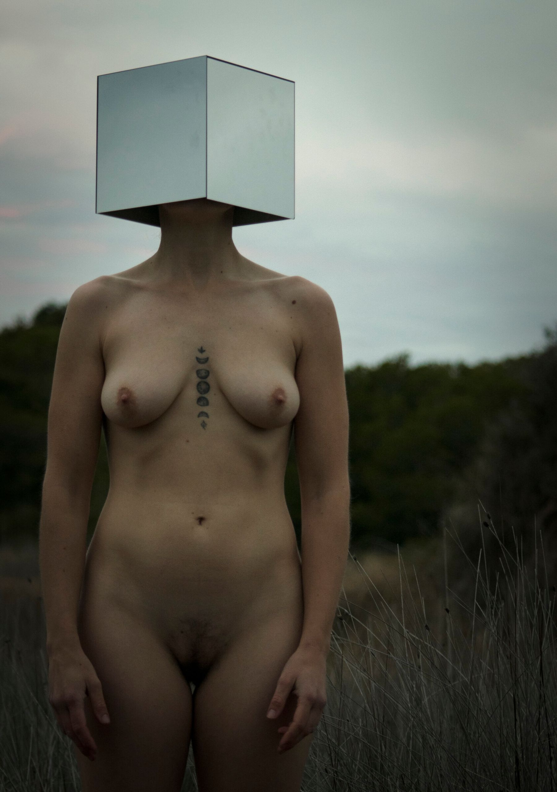 Dotzena bruta
