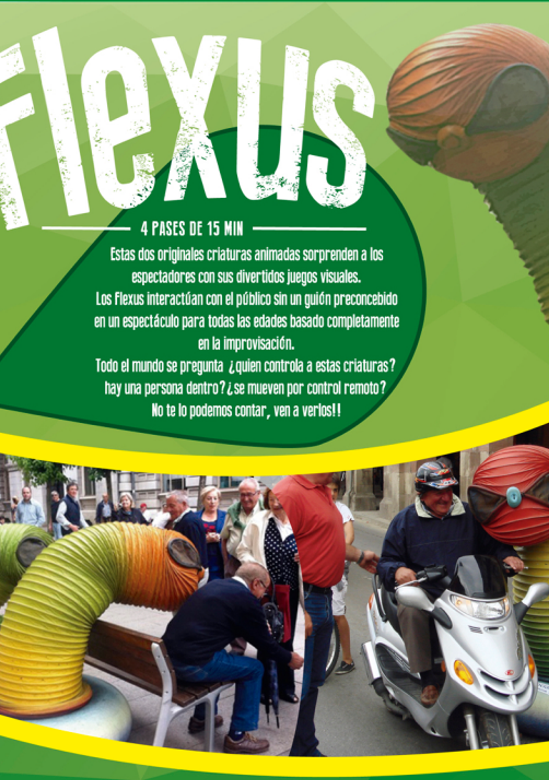 Flexus