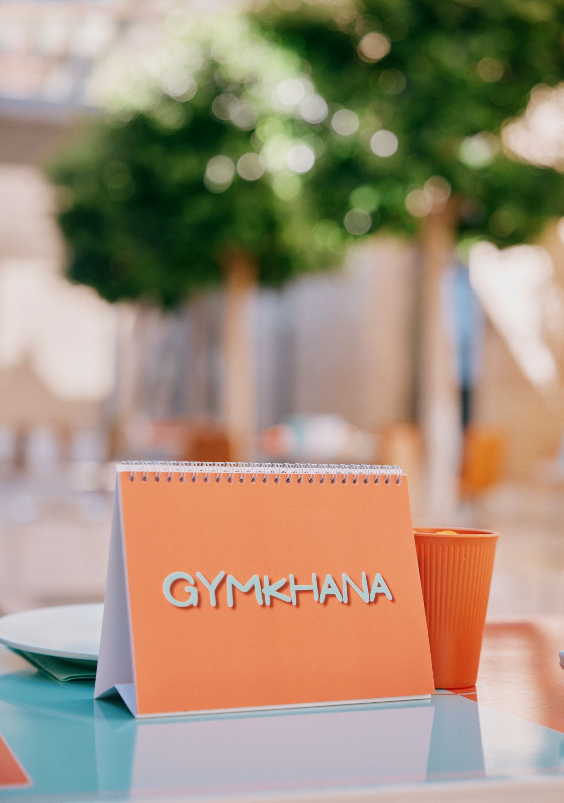 Gymkhana