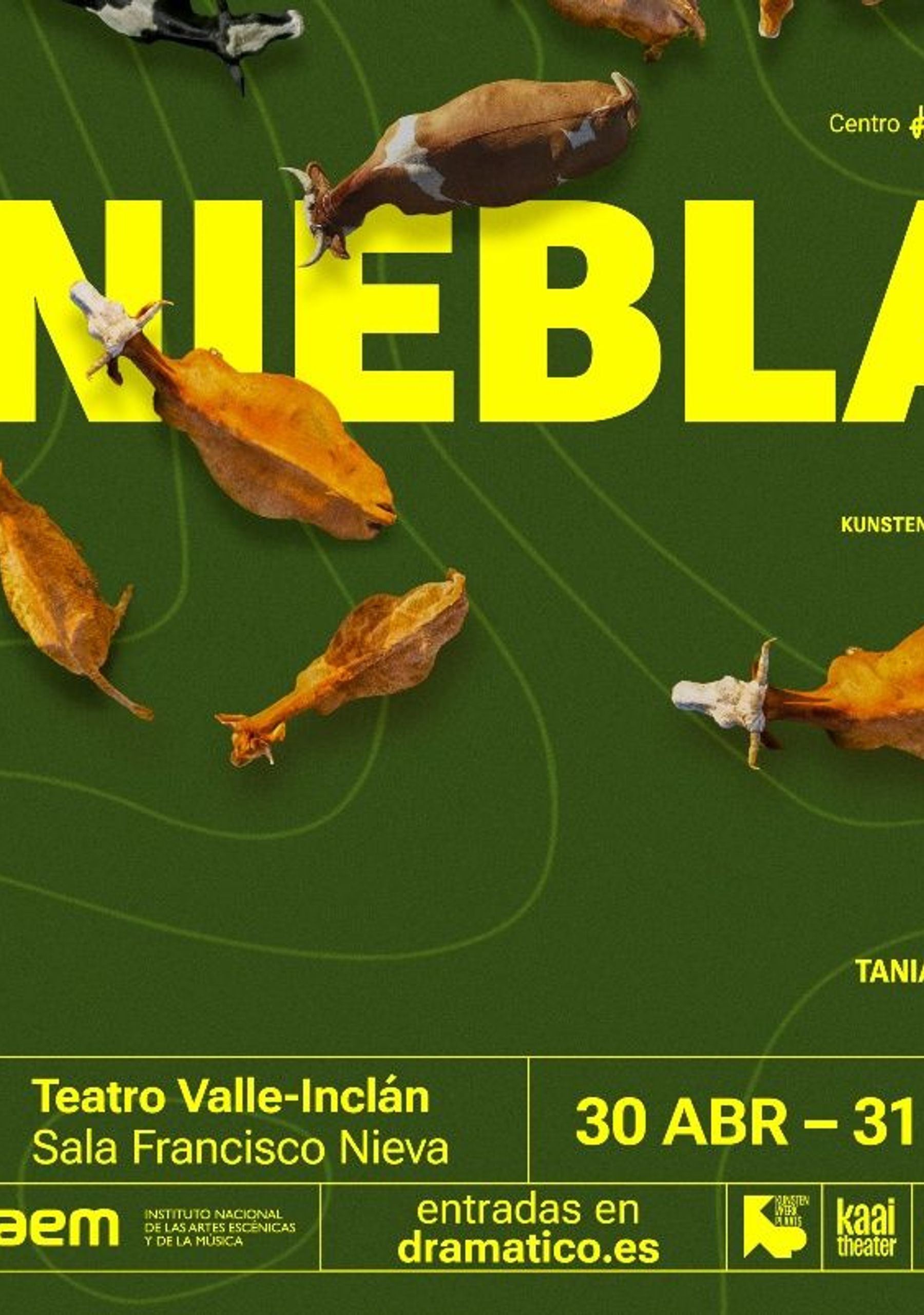 Tinieblas