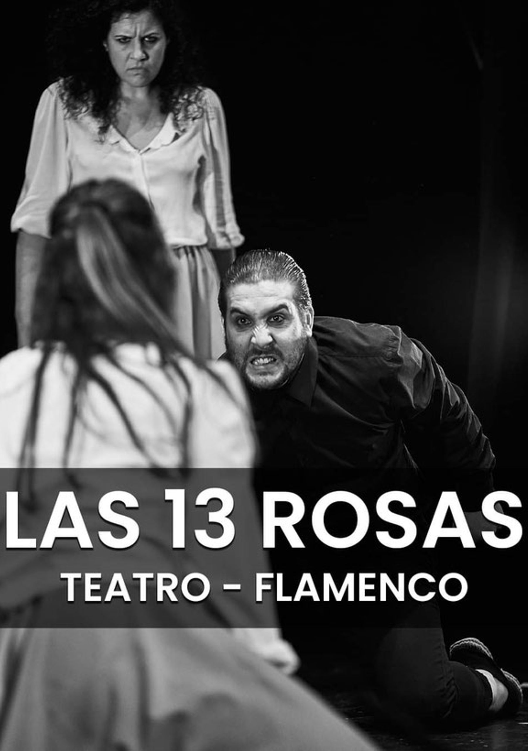 Las 13 Rosas