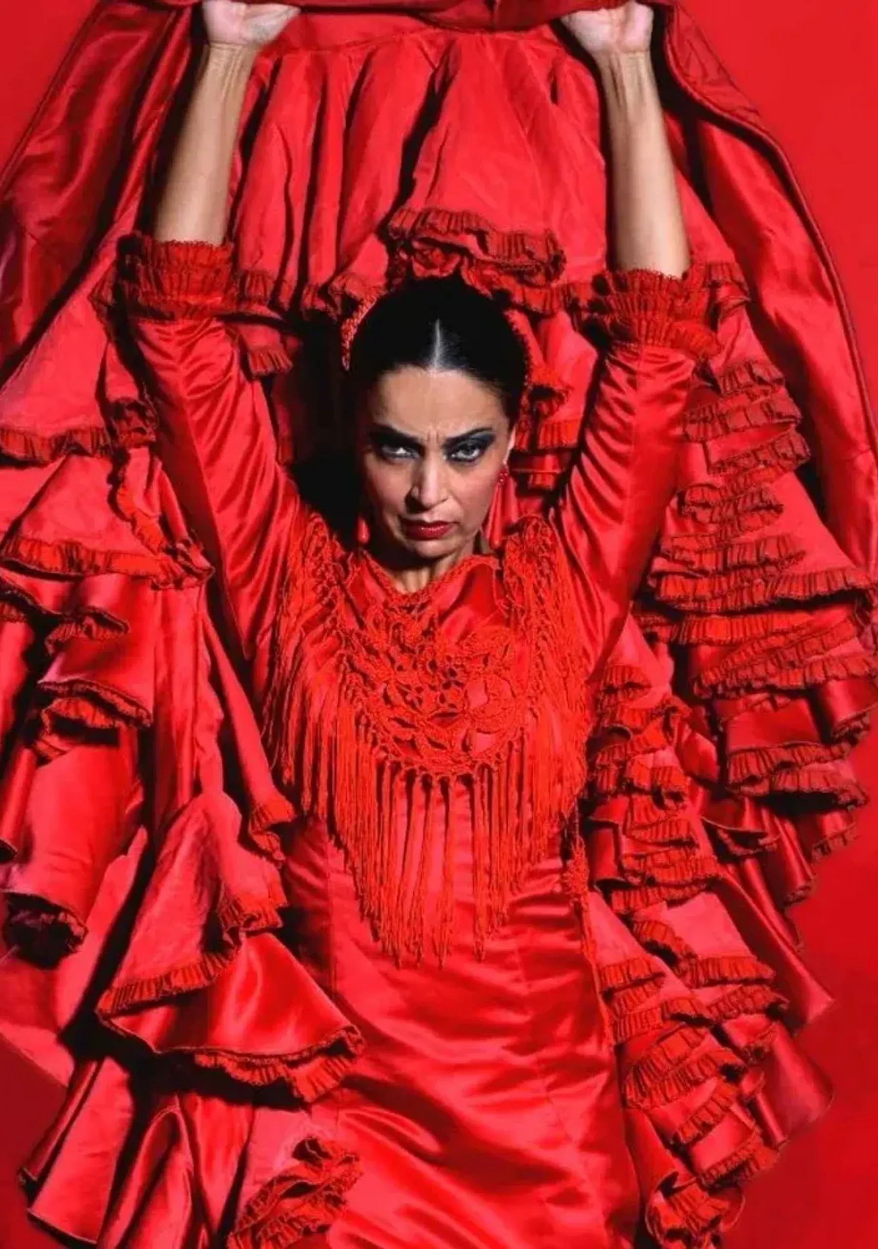 Emociones - Espectáculo flamenco