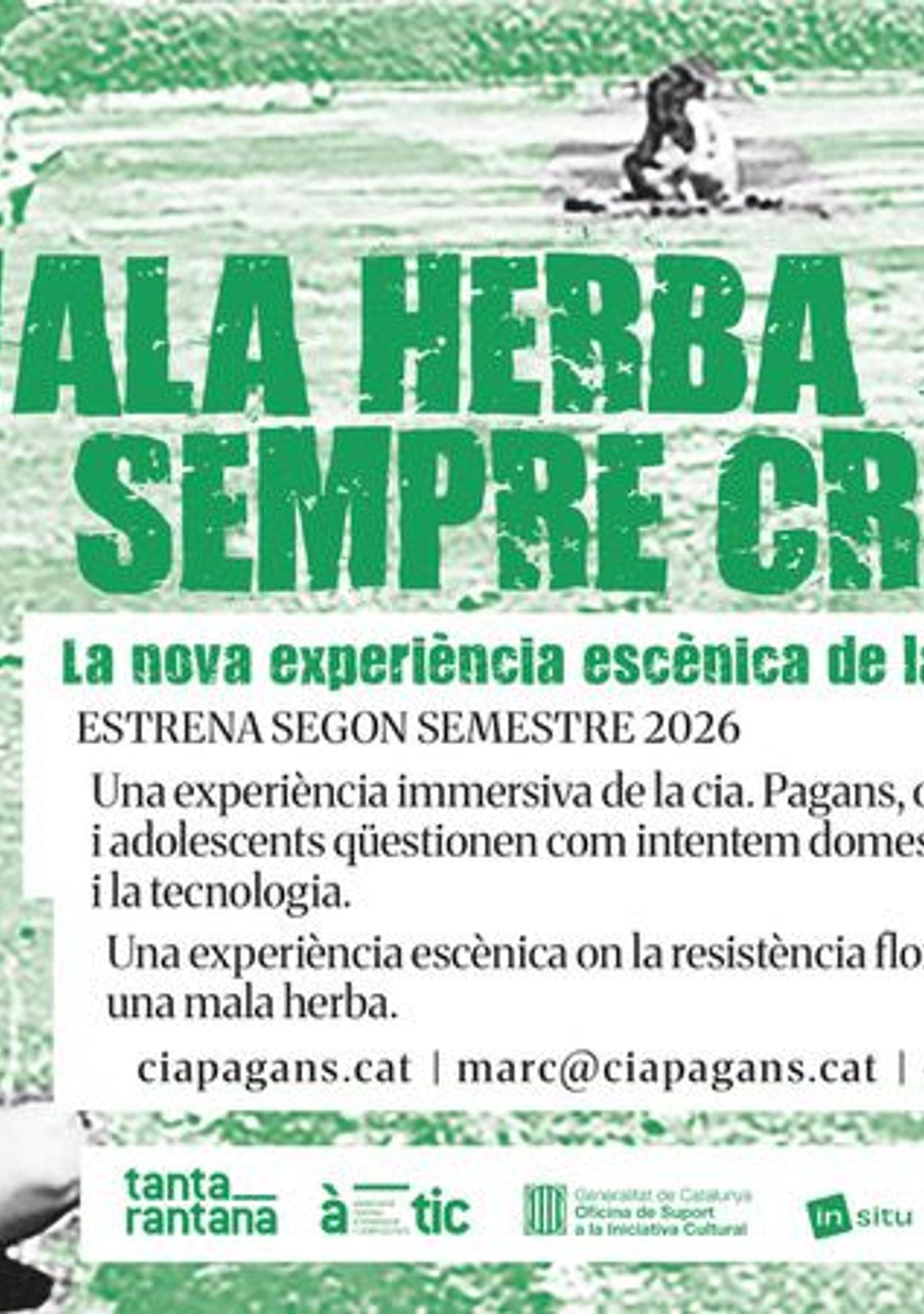 Mala herba sempre creix