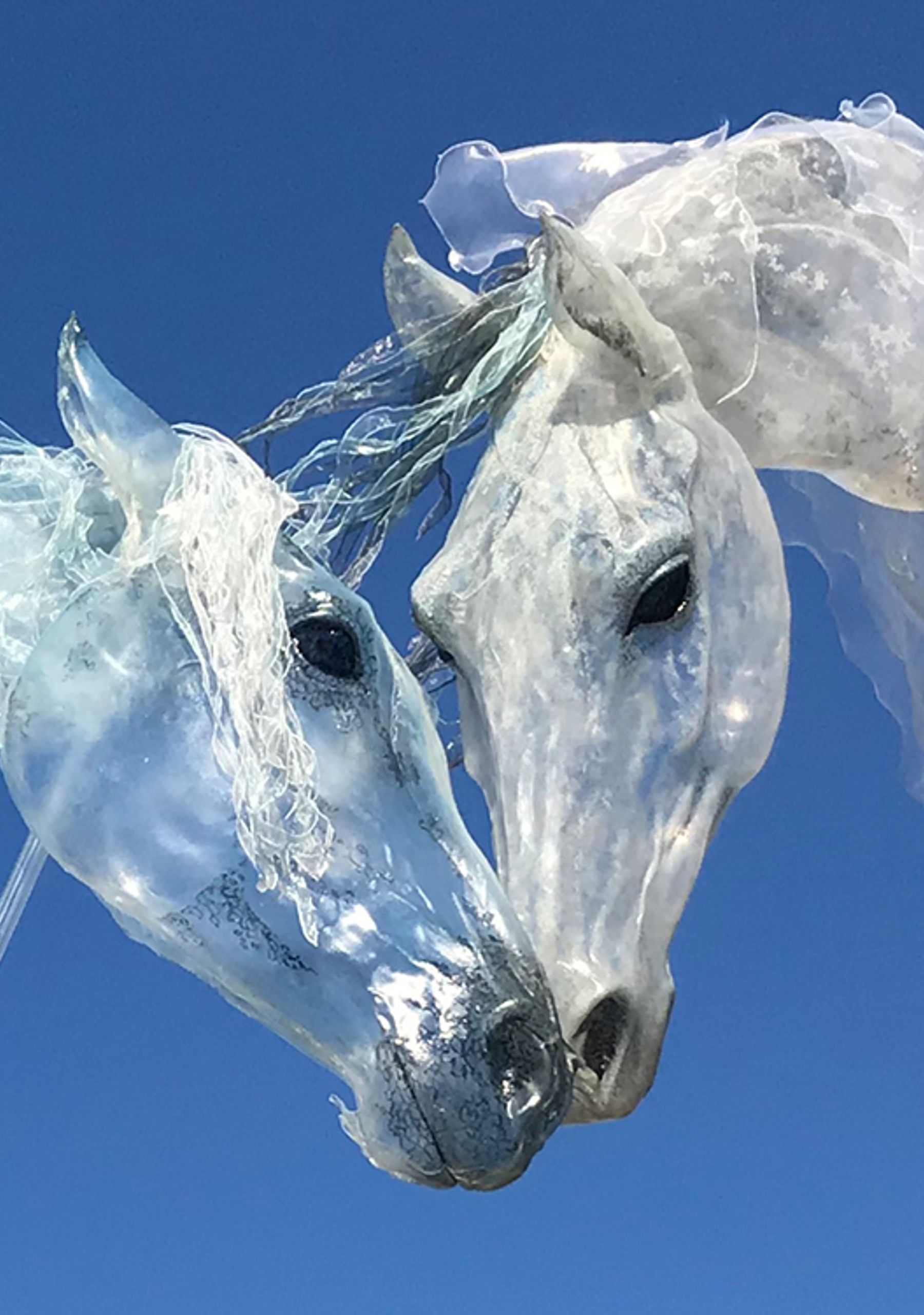 Windhorses