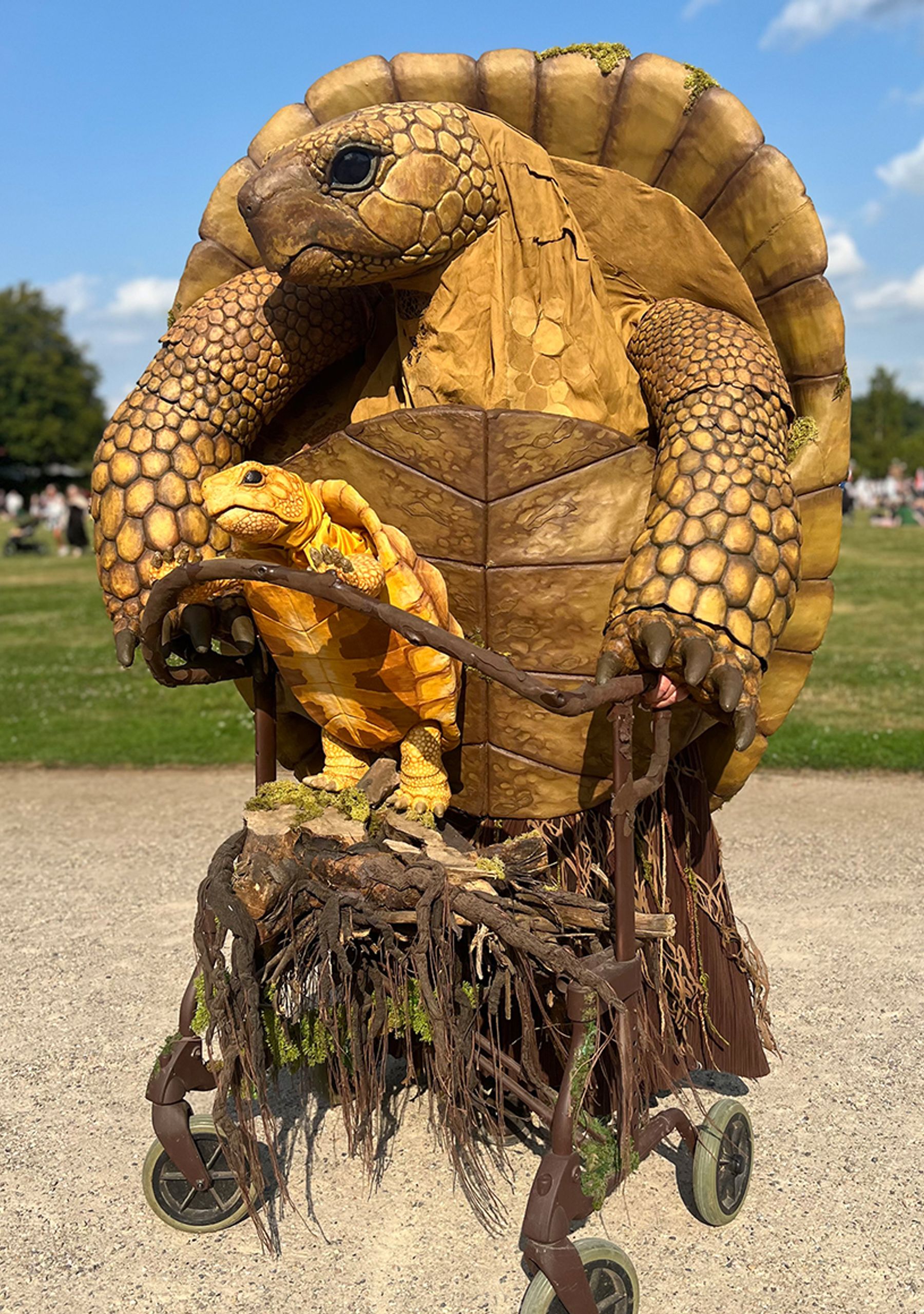 Grandmother Tortoise