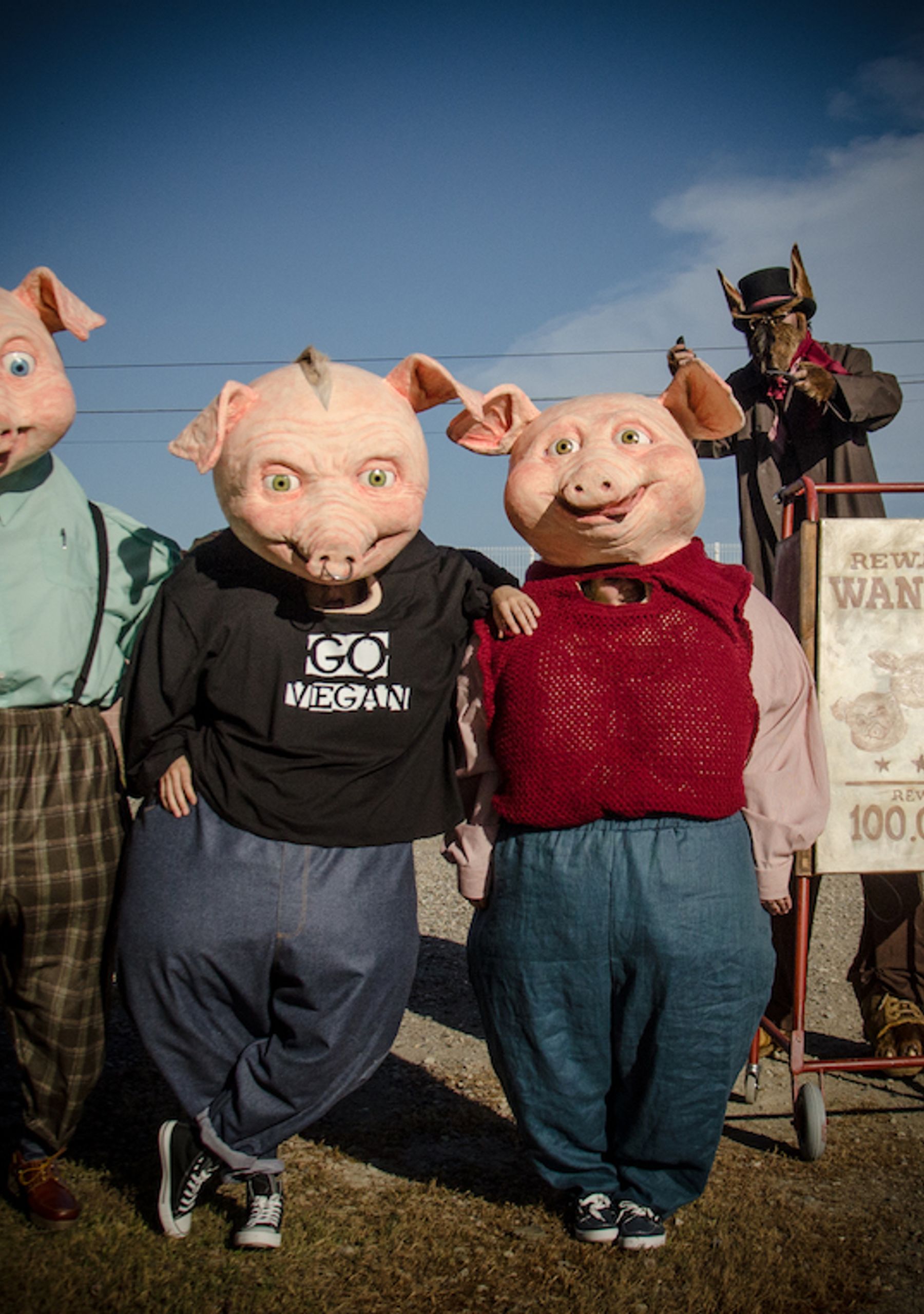 Pigs