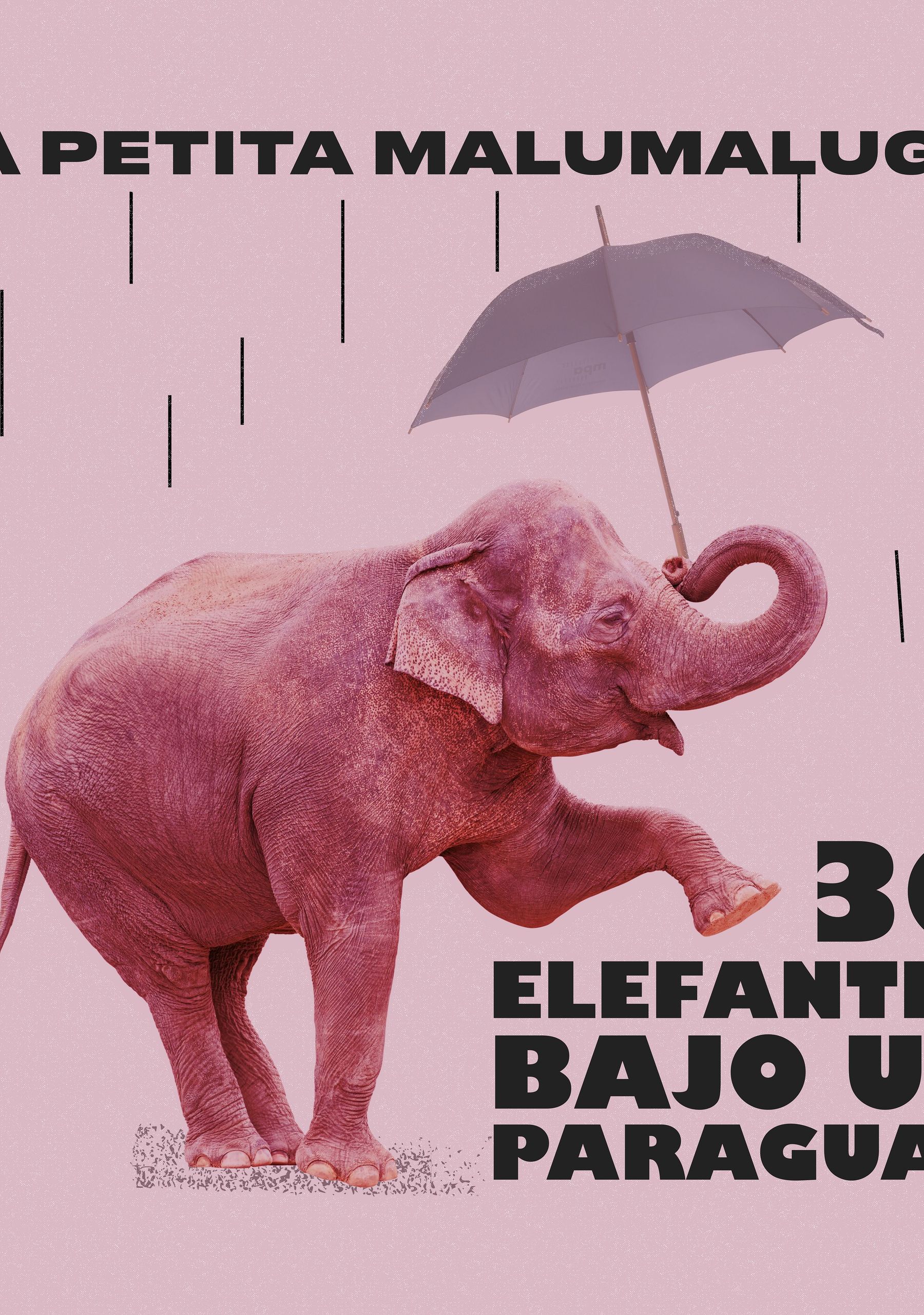 30 elefantes bajo un paraguas