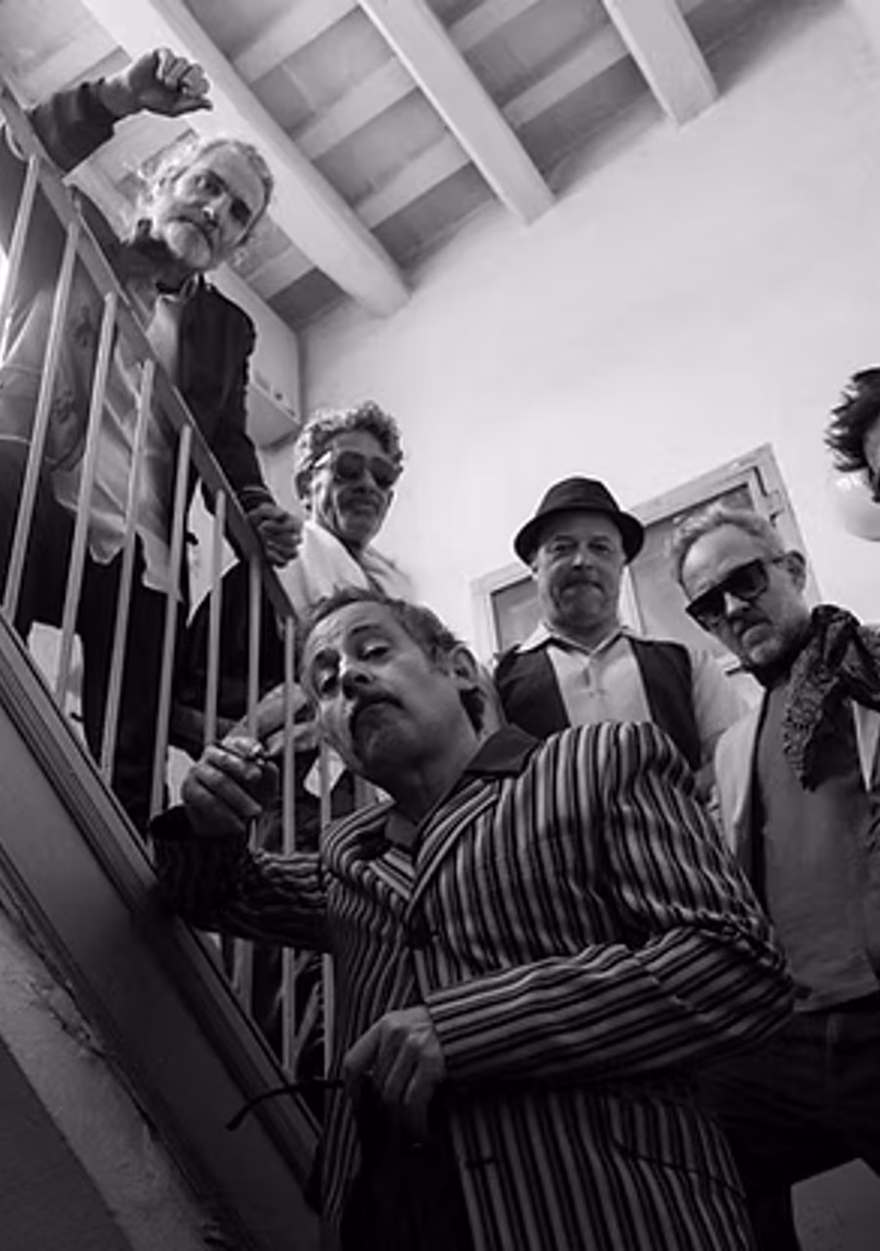 Azucarillo Kings