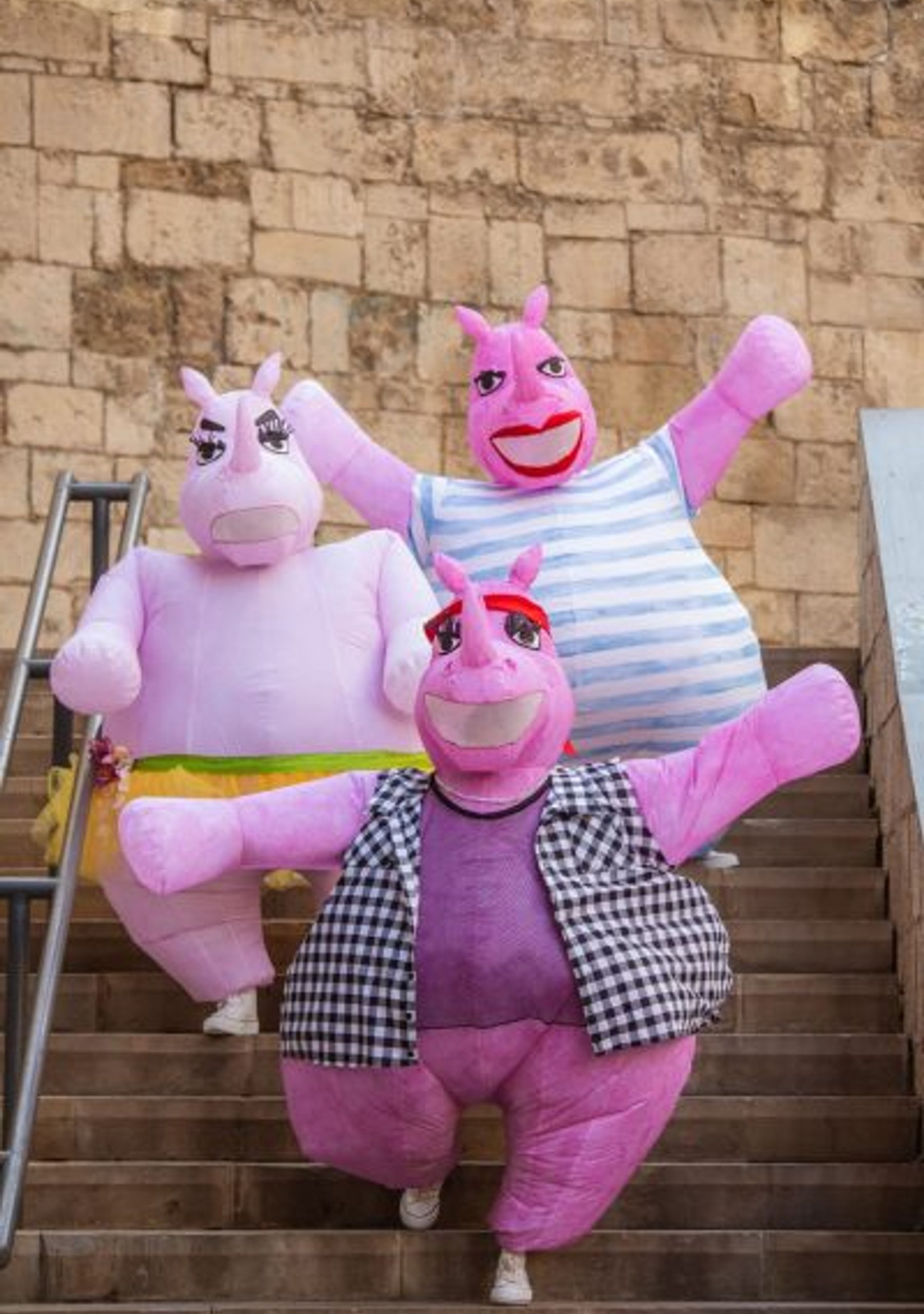 Rhinos