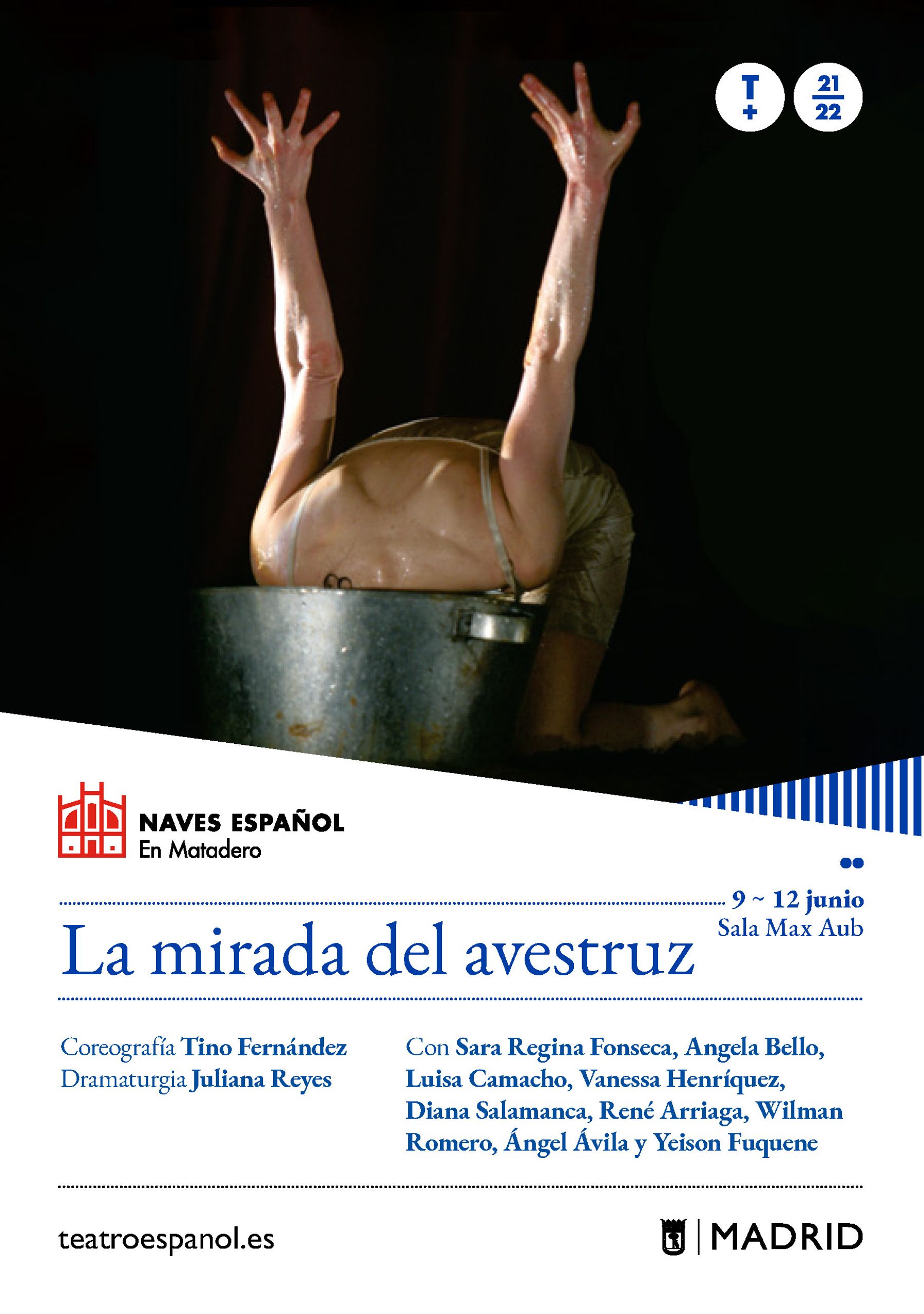 La mirada del avestruz