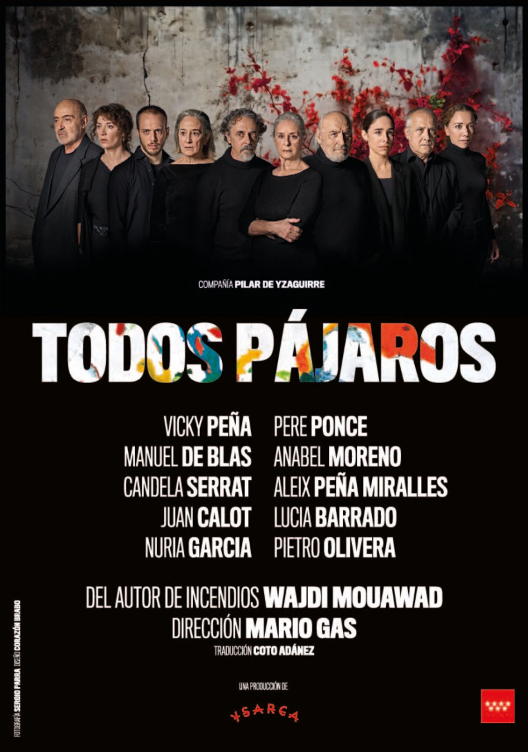 Todos los pájaros