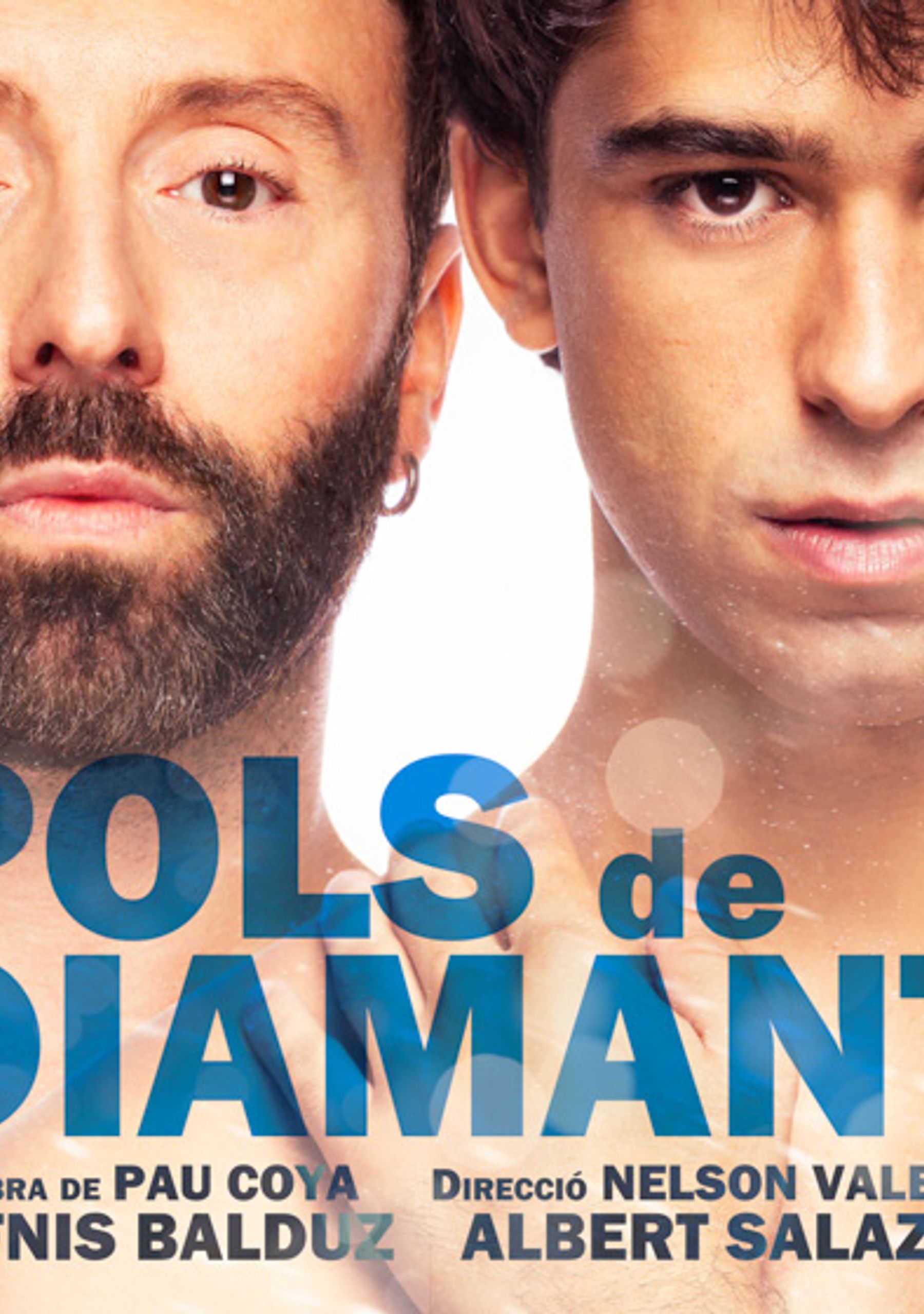 Pols de Diamant / Polvo de Diamante