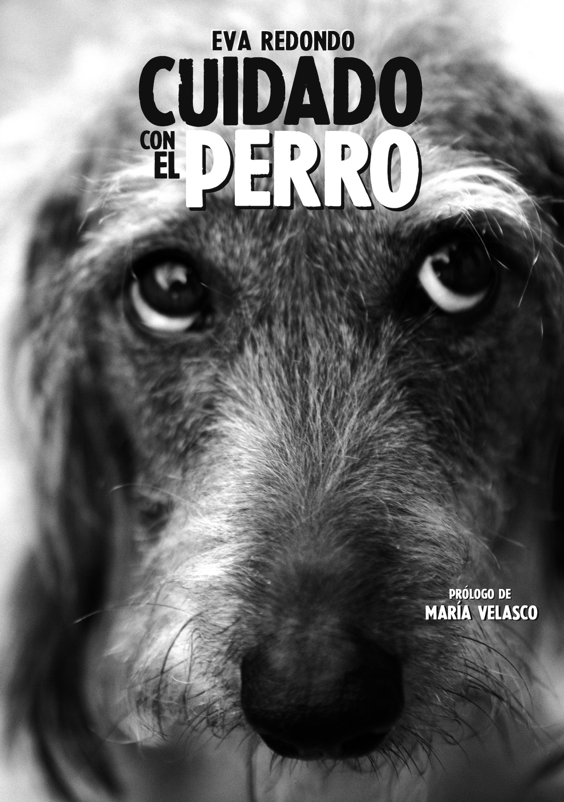 Cuidado con el perro