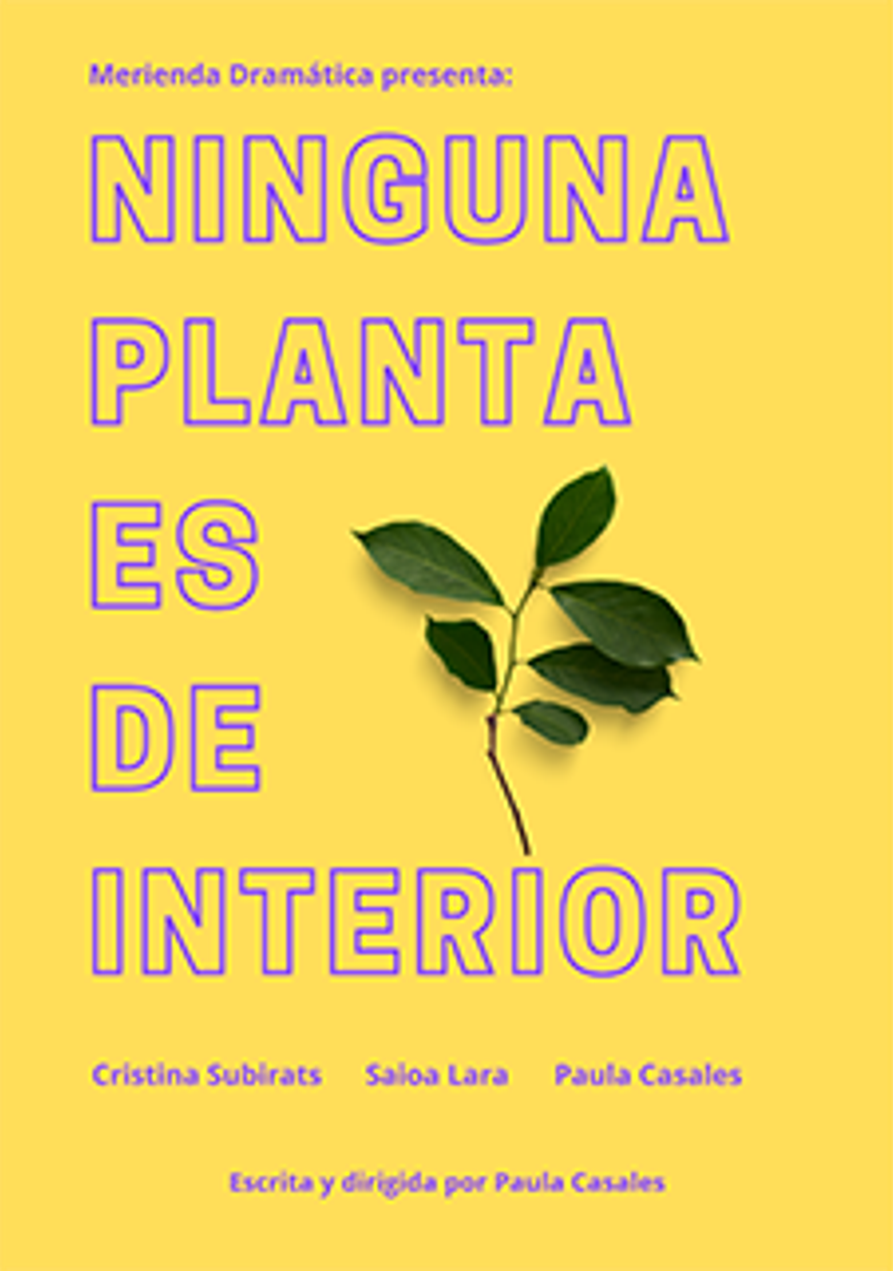 Ninguna planta es de interior