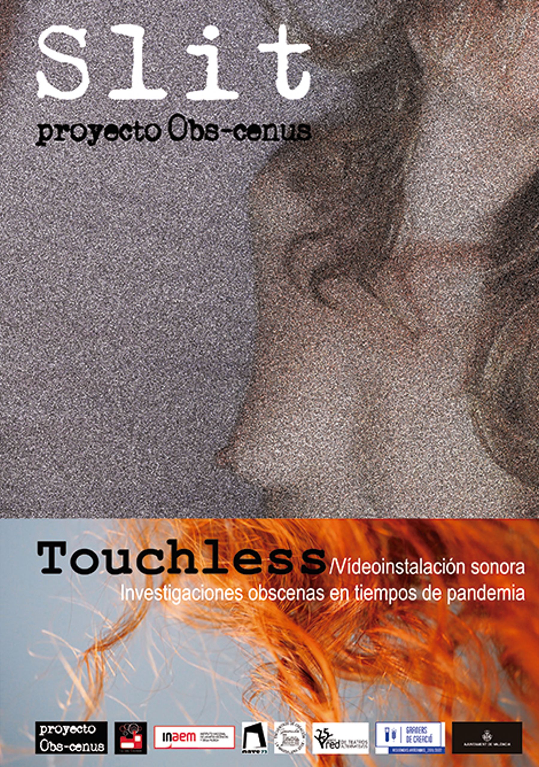 Slit - Proyecto Obs-cenus