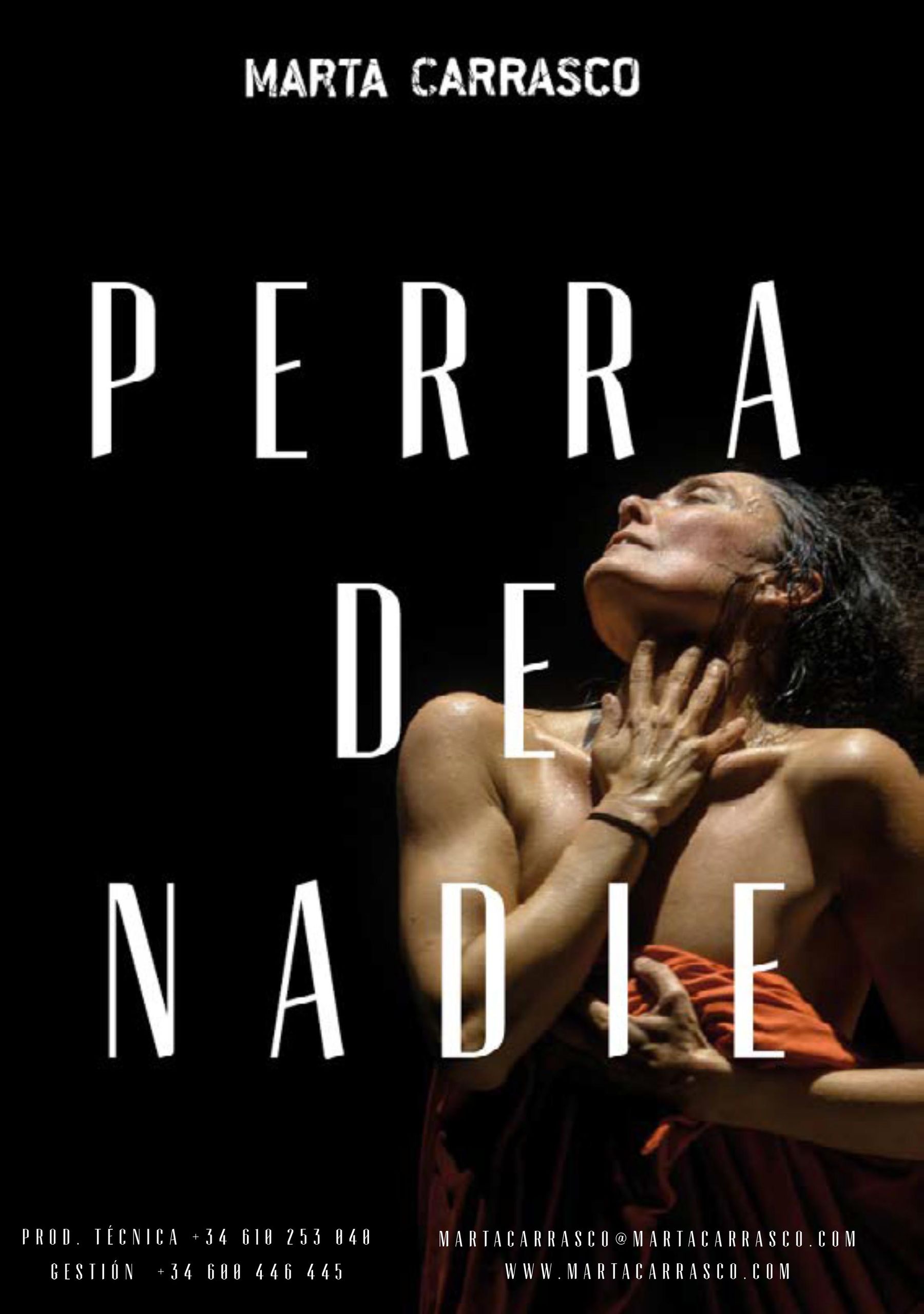Perra de nadie