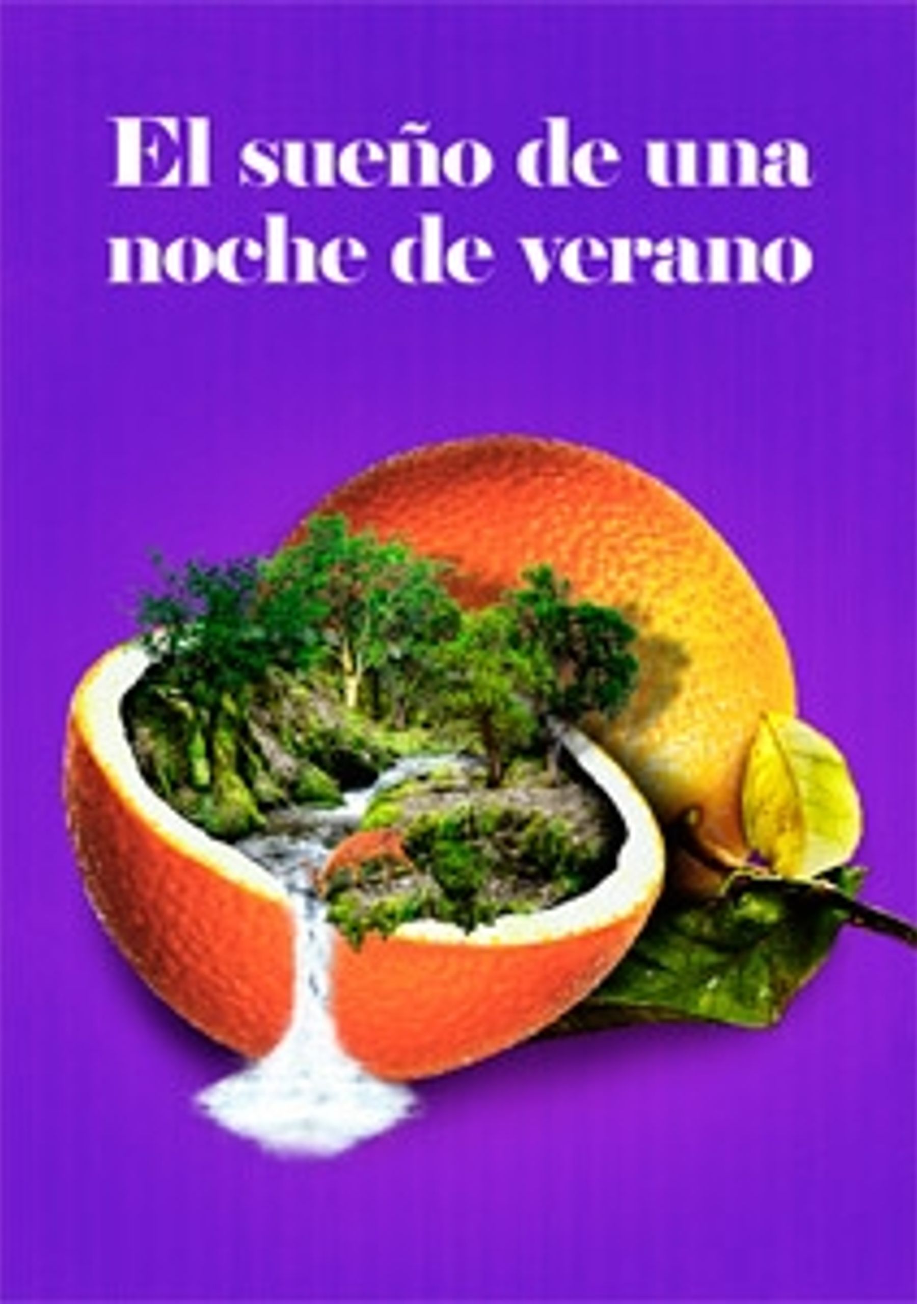 El sueño de una noche de verano