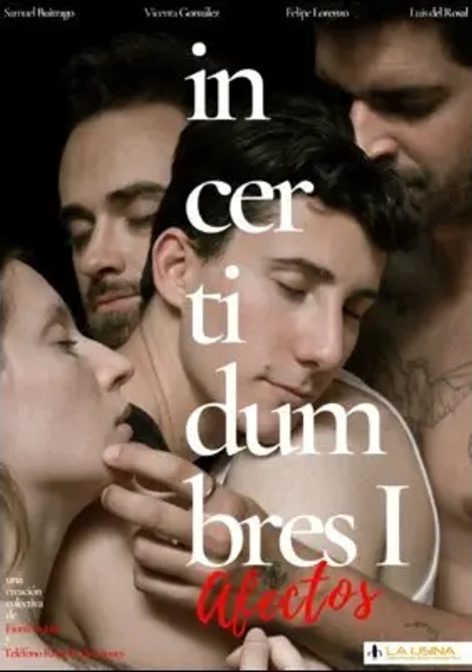 Incertidumbres I: Afectos