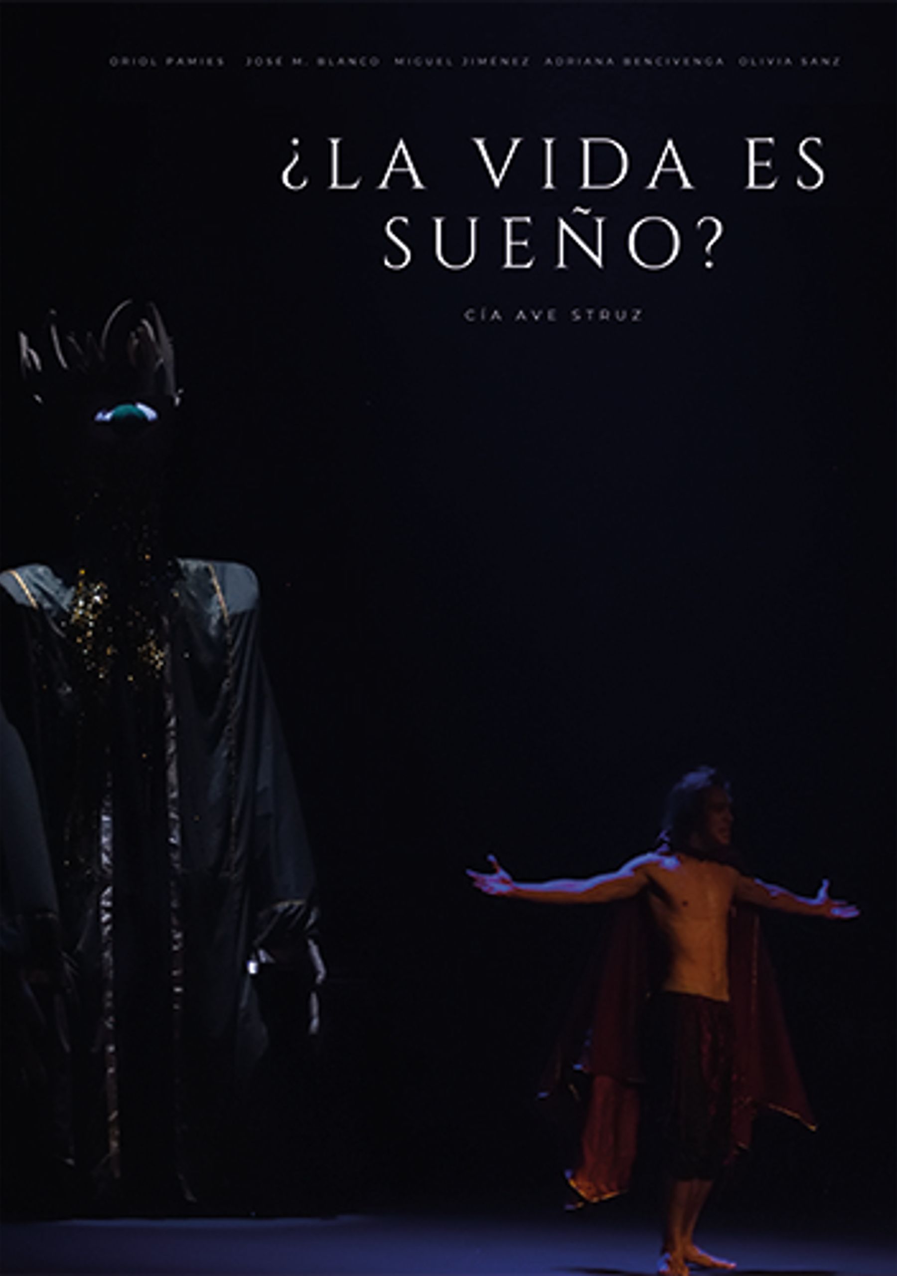 ¿La vida es sueño?
