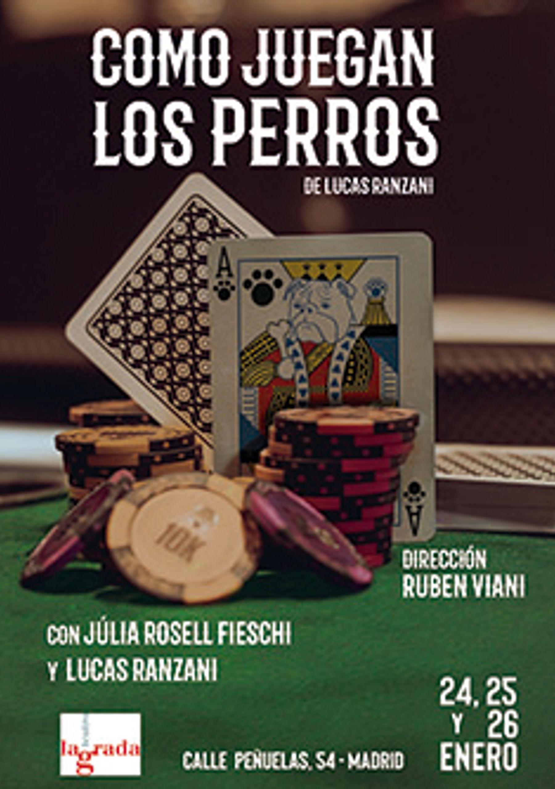 Como juegan los perros