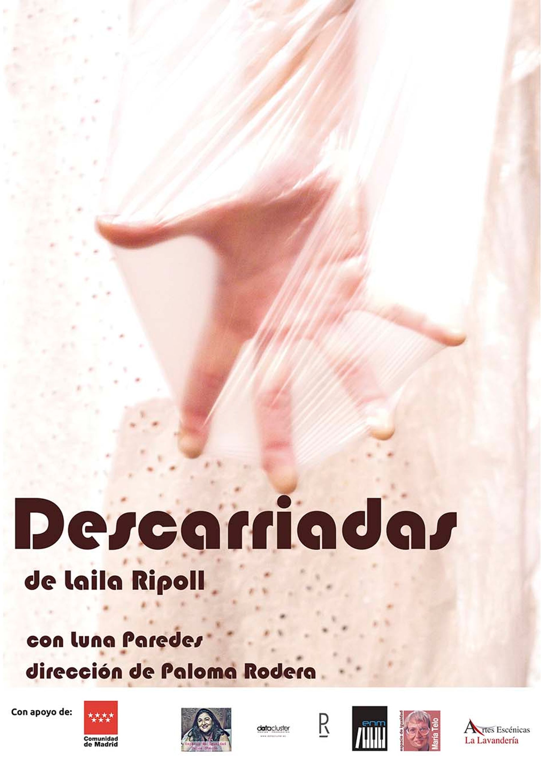 Descarriadas