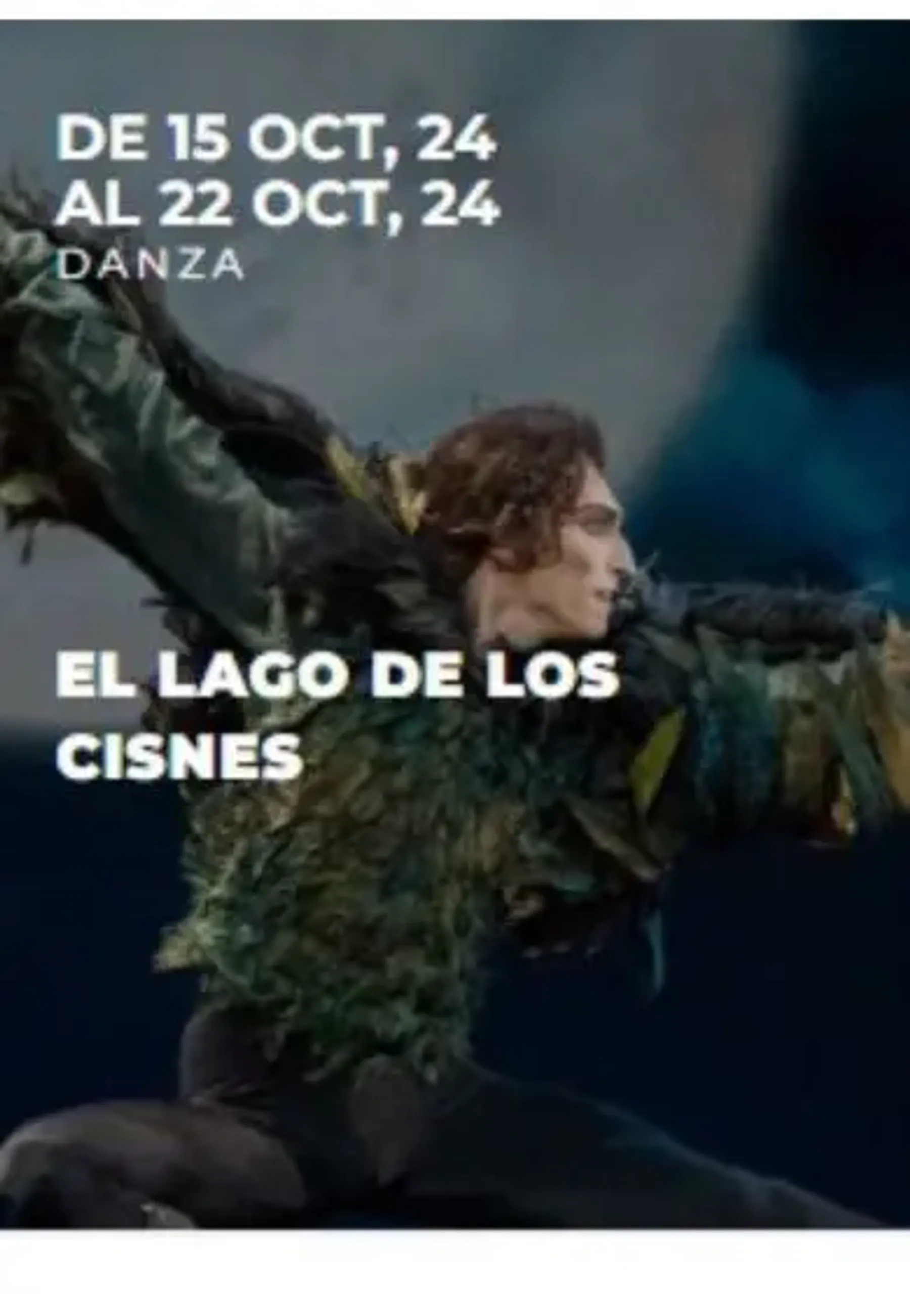 El lago de los cisnes
