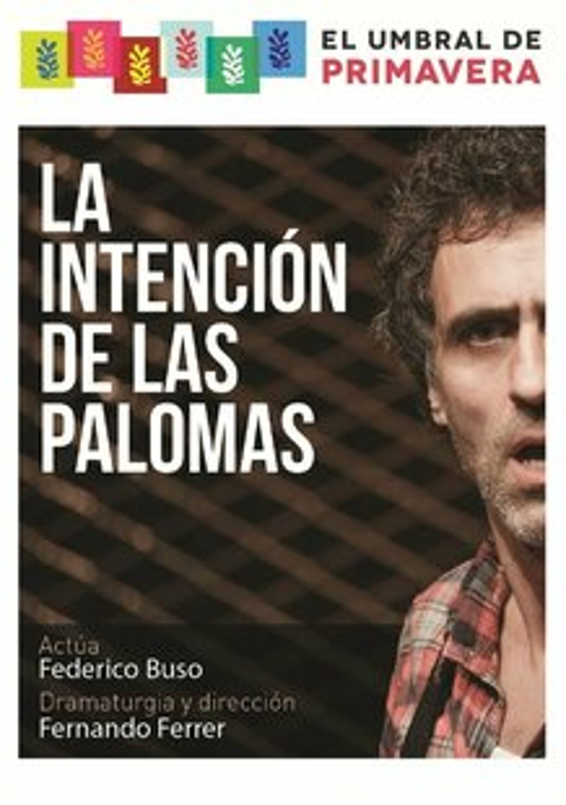 La intención de las palomas