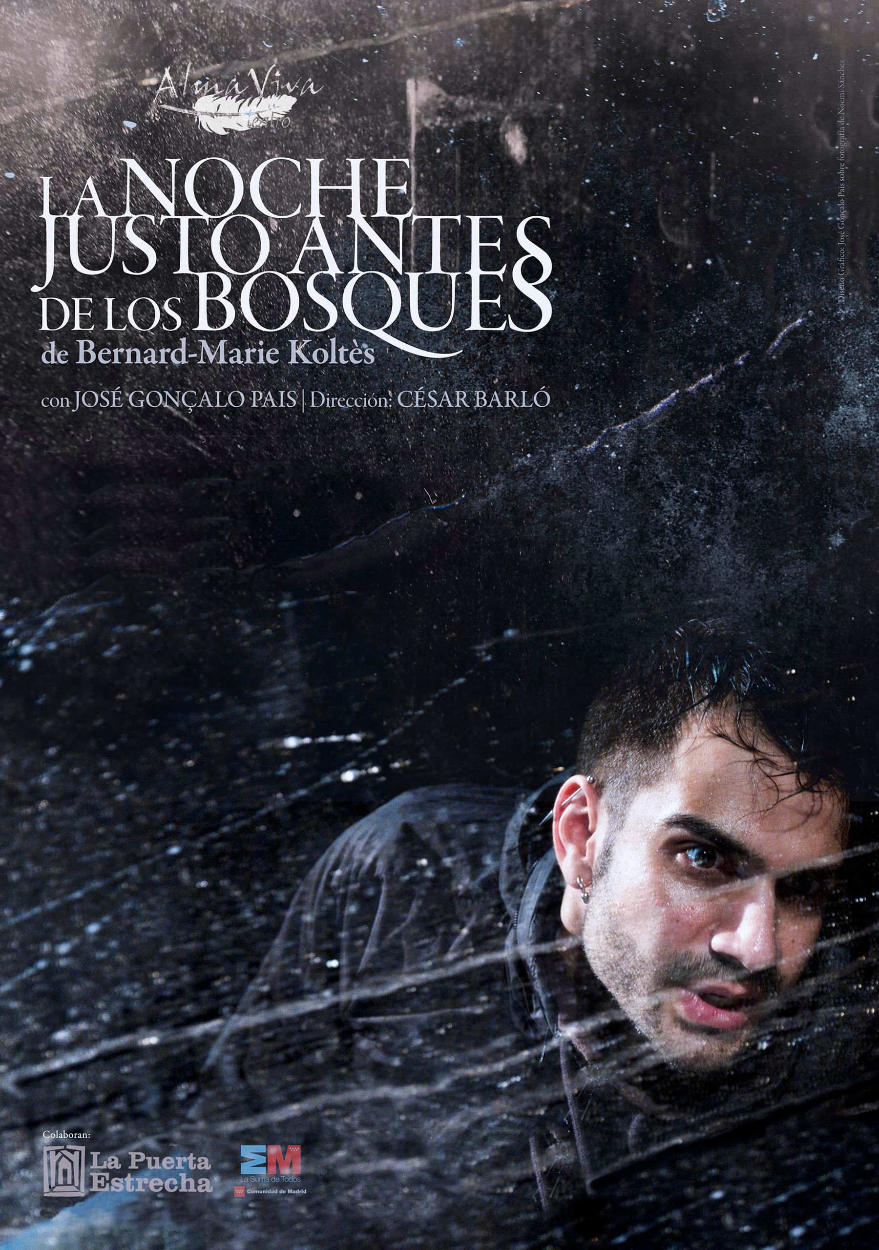La noche justo antes de los bosques