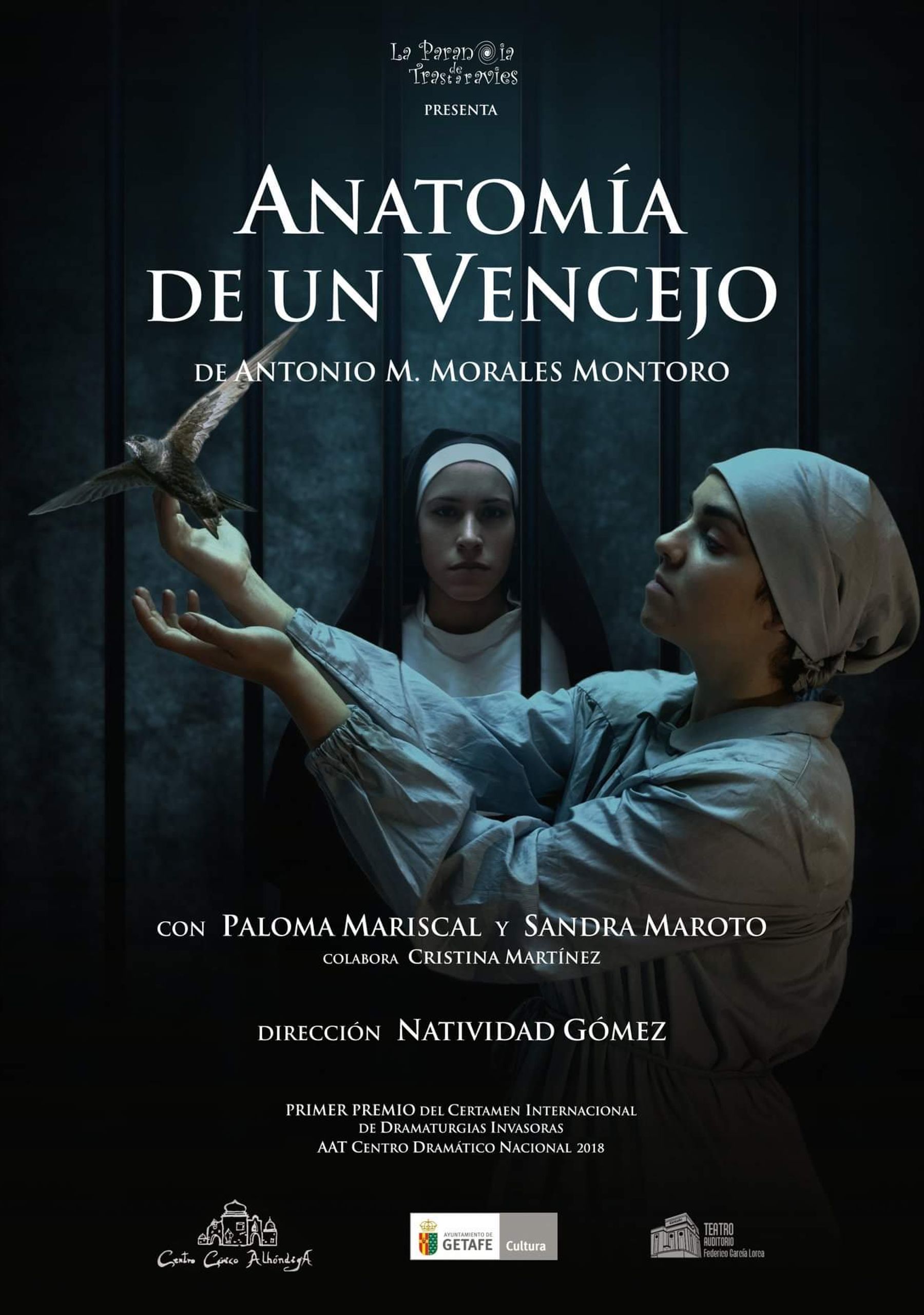 Anatomía de un vencejo