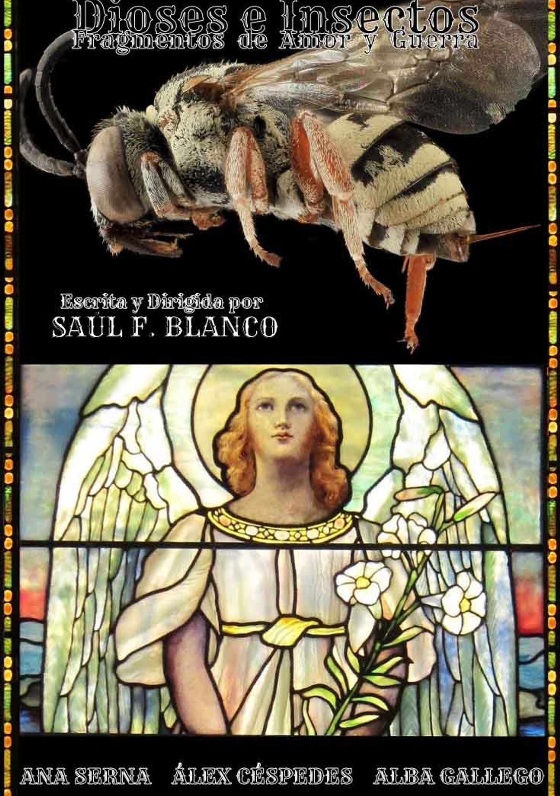 Dioses e insectos