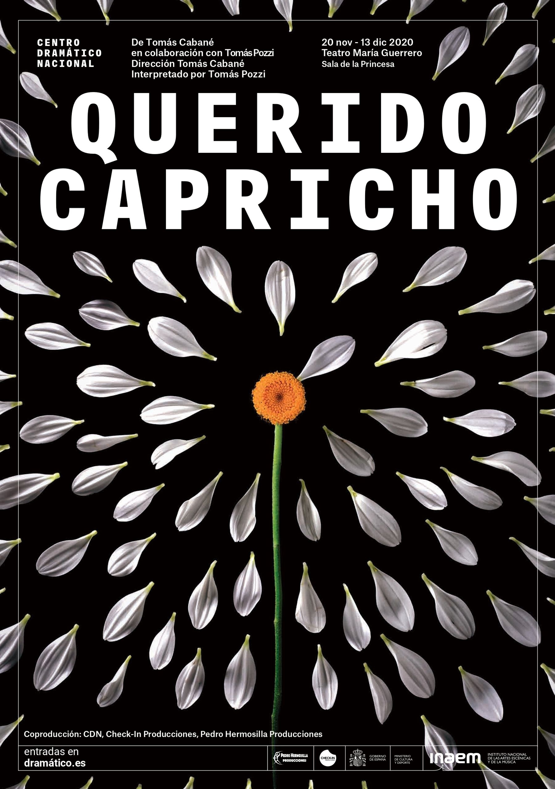 Querido capricho