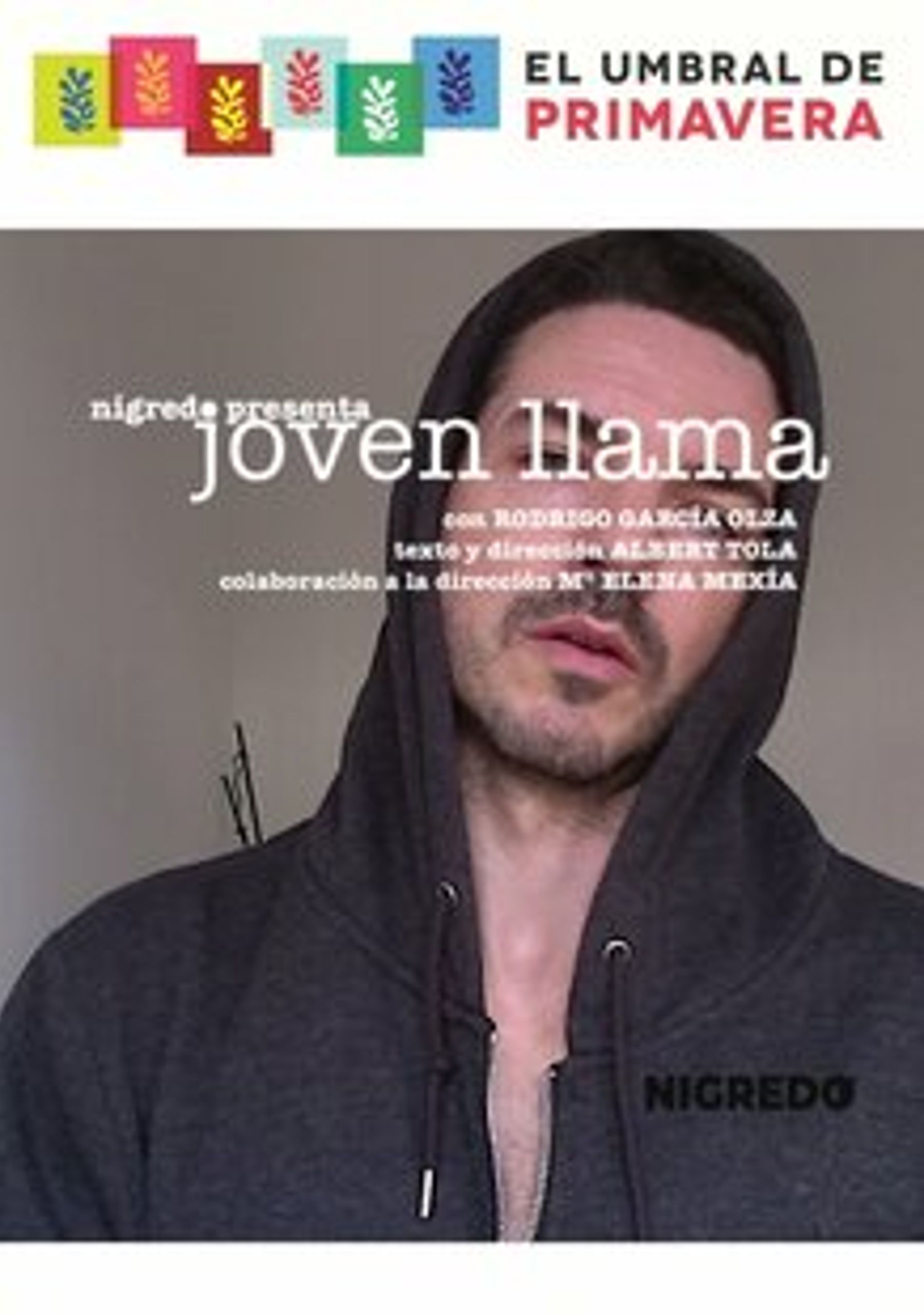 Joven llama