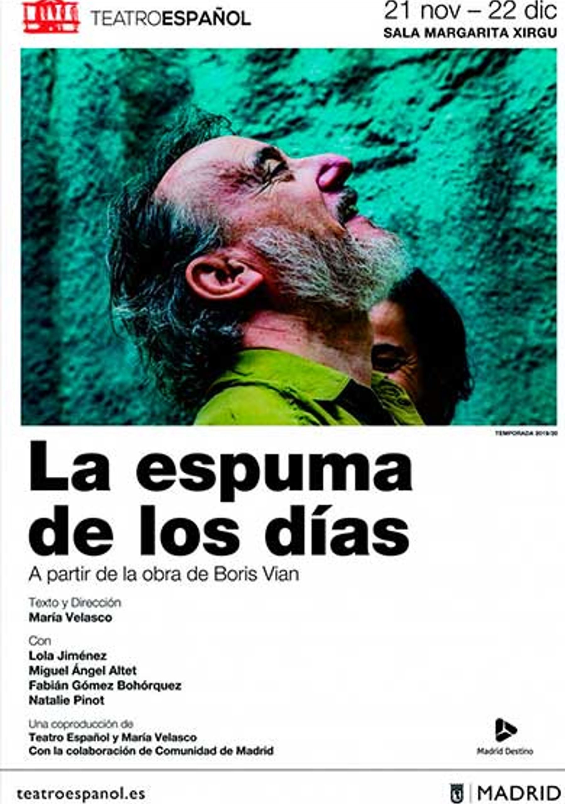 La Espuma de los días