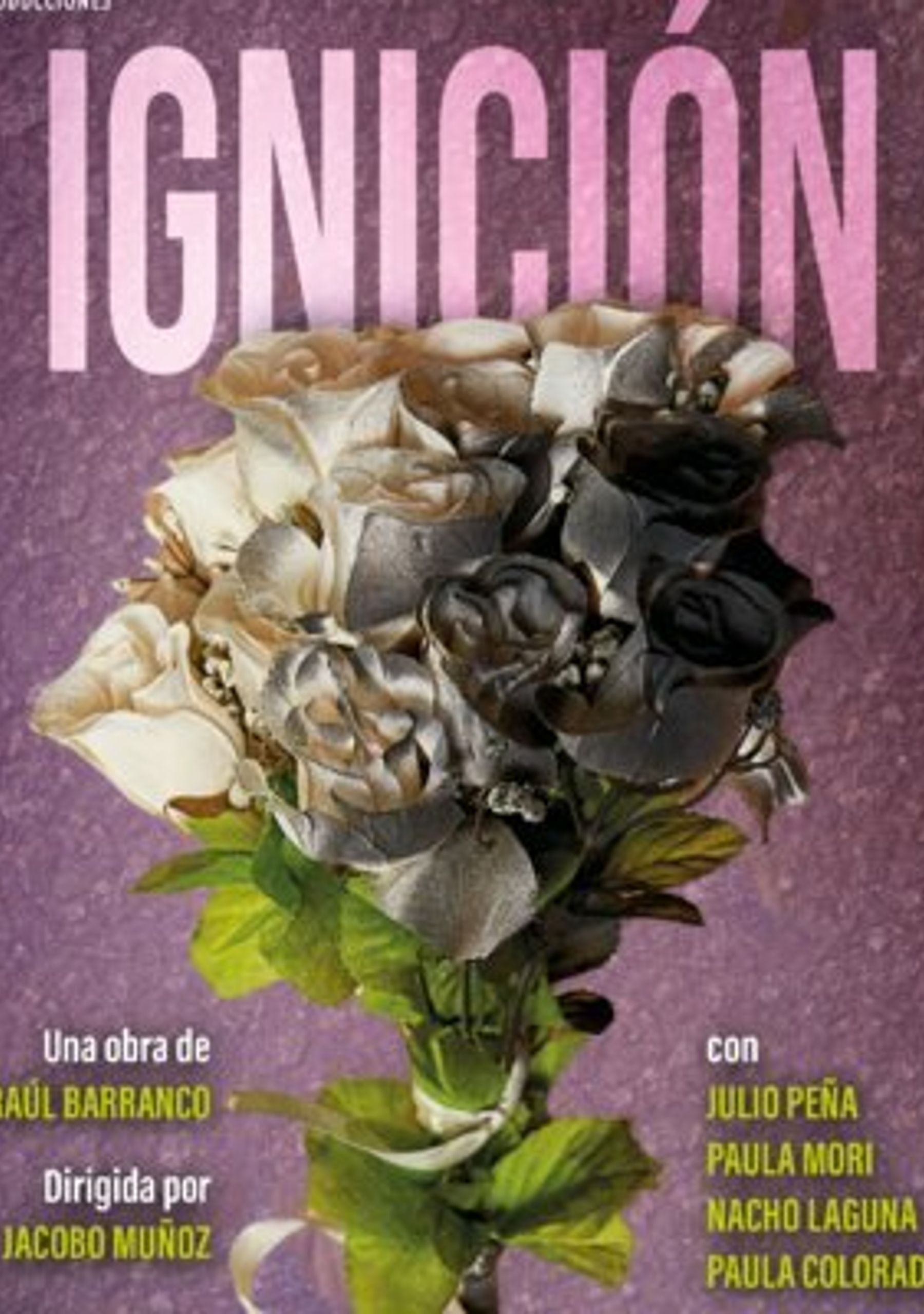 Ignición