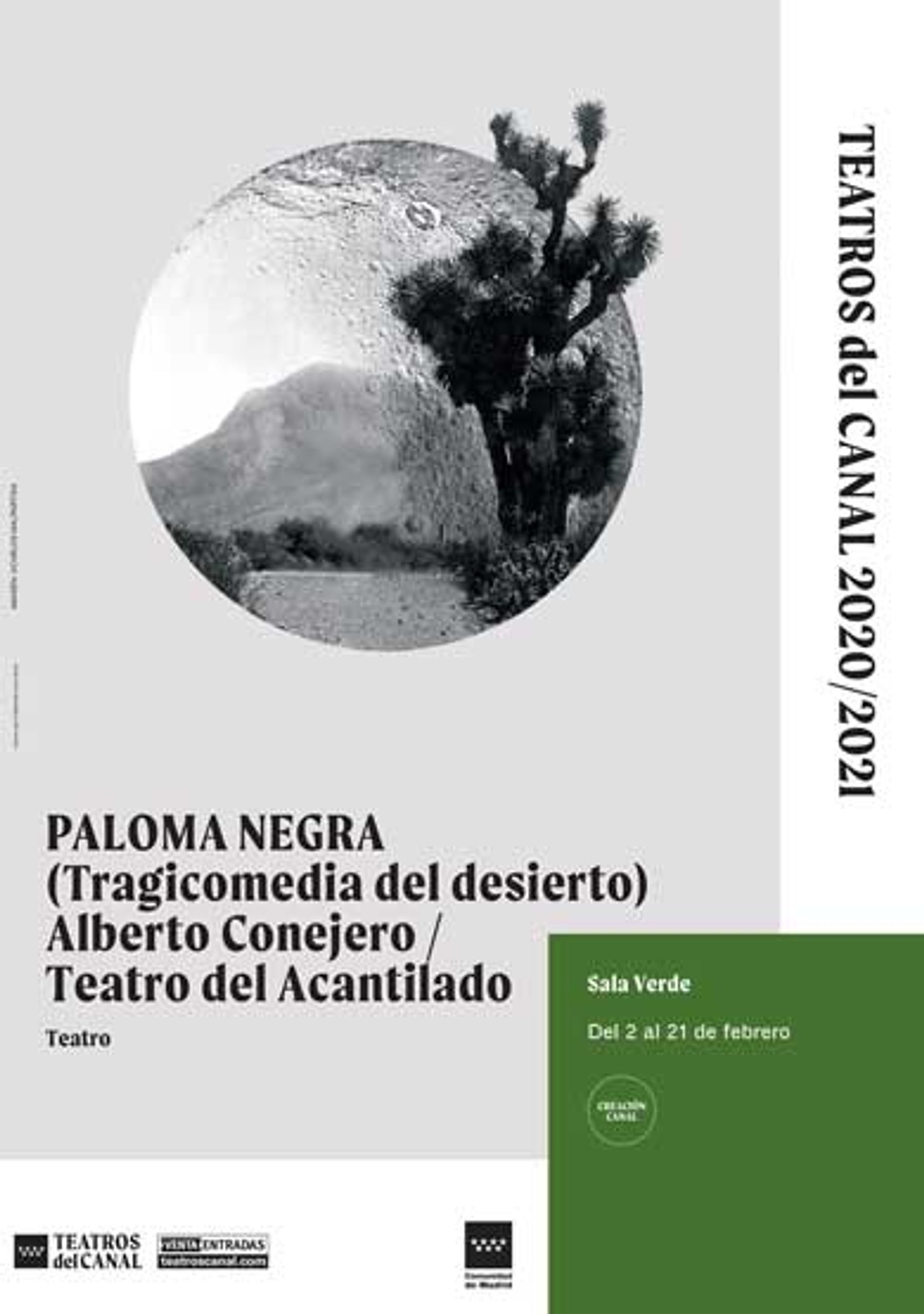 Paloma negra