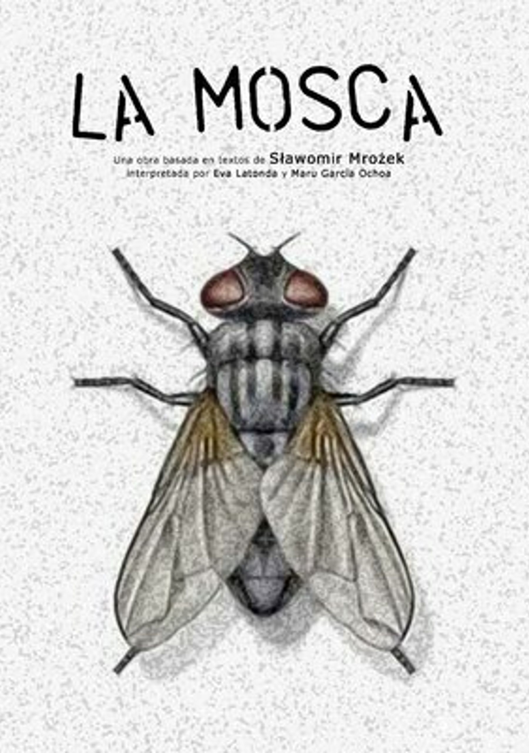 La mosca