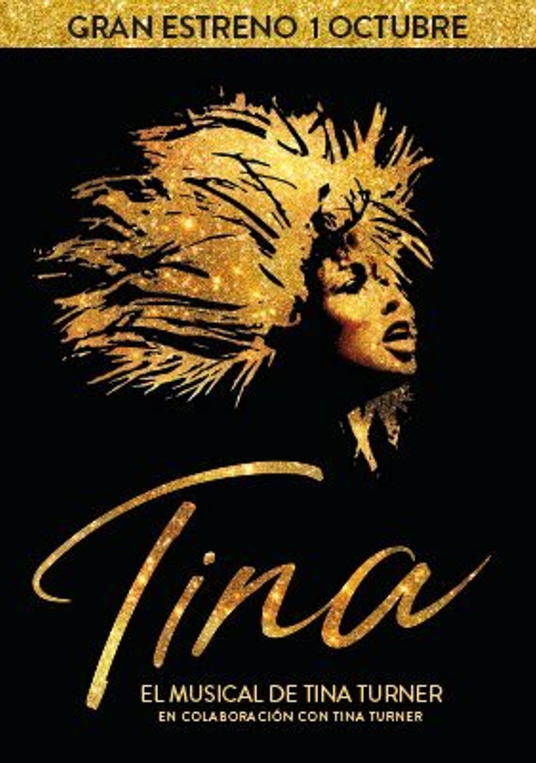 Tina, el musical