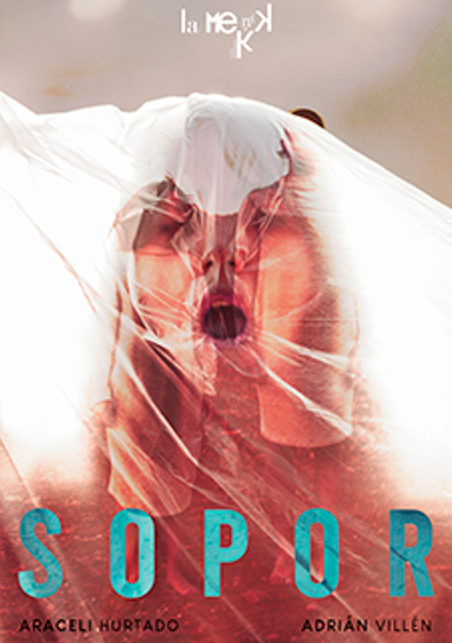 Sopor
