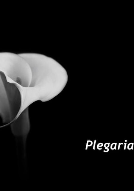 Plegaria de Paz